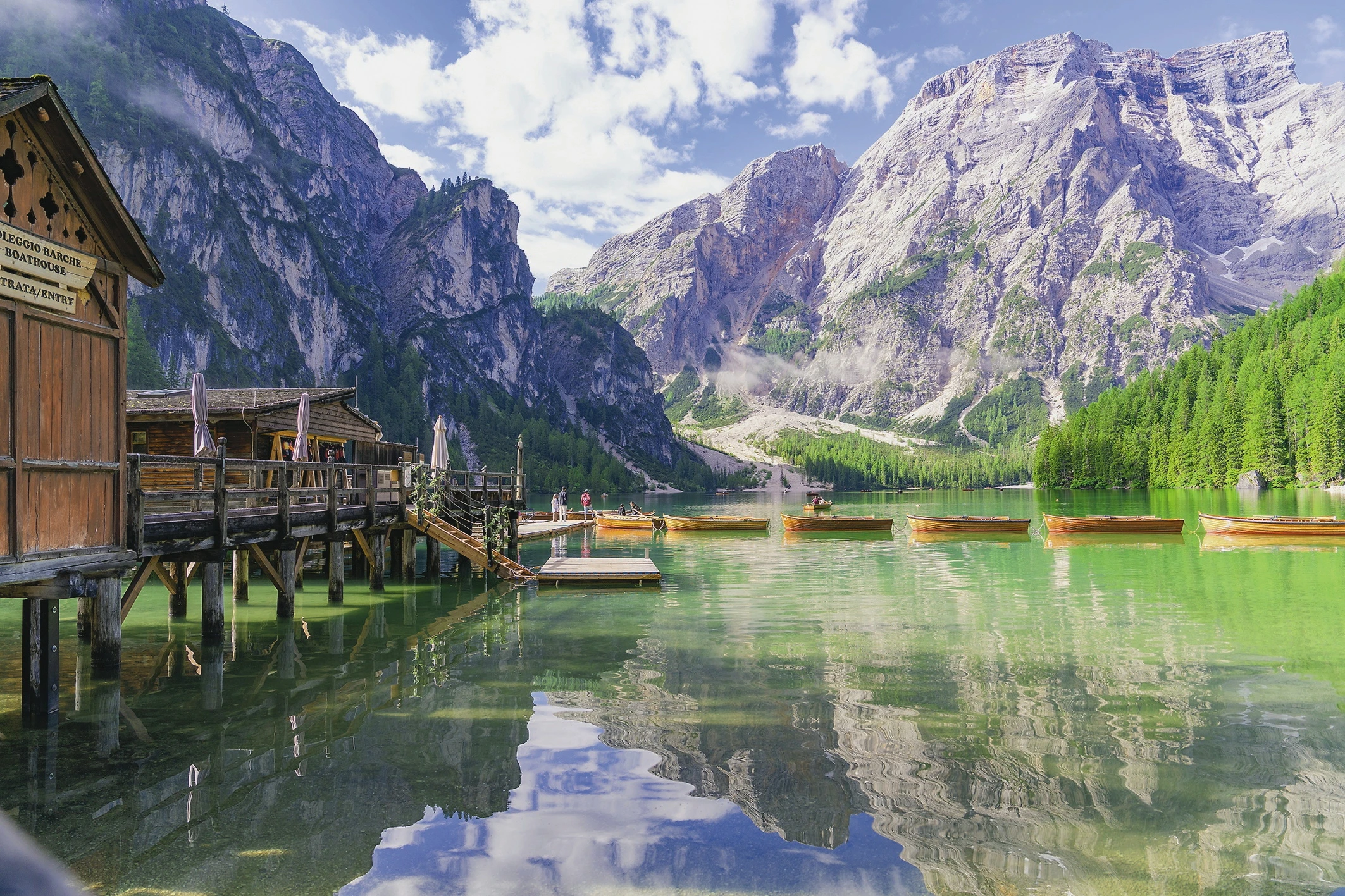 © Manuel Kamuf / ImageBroker / picturedesk.com Blurred image background