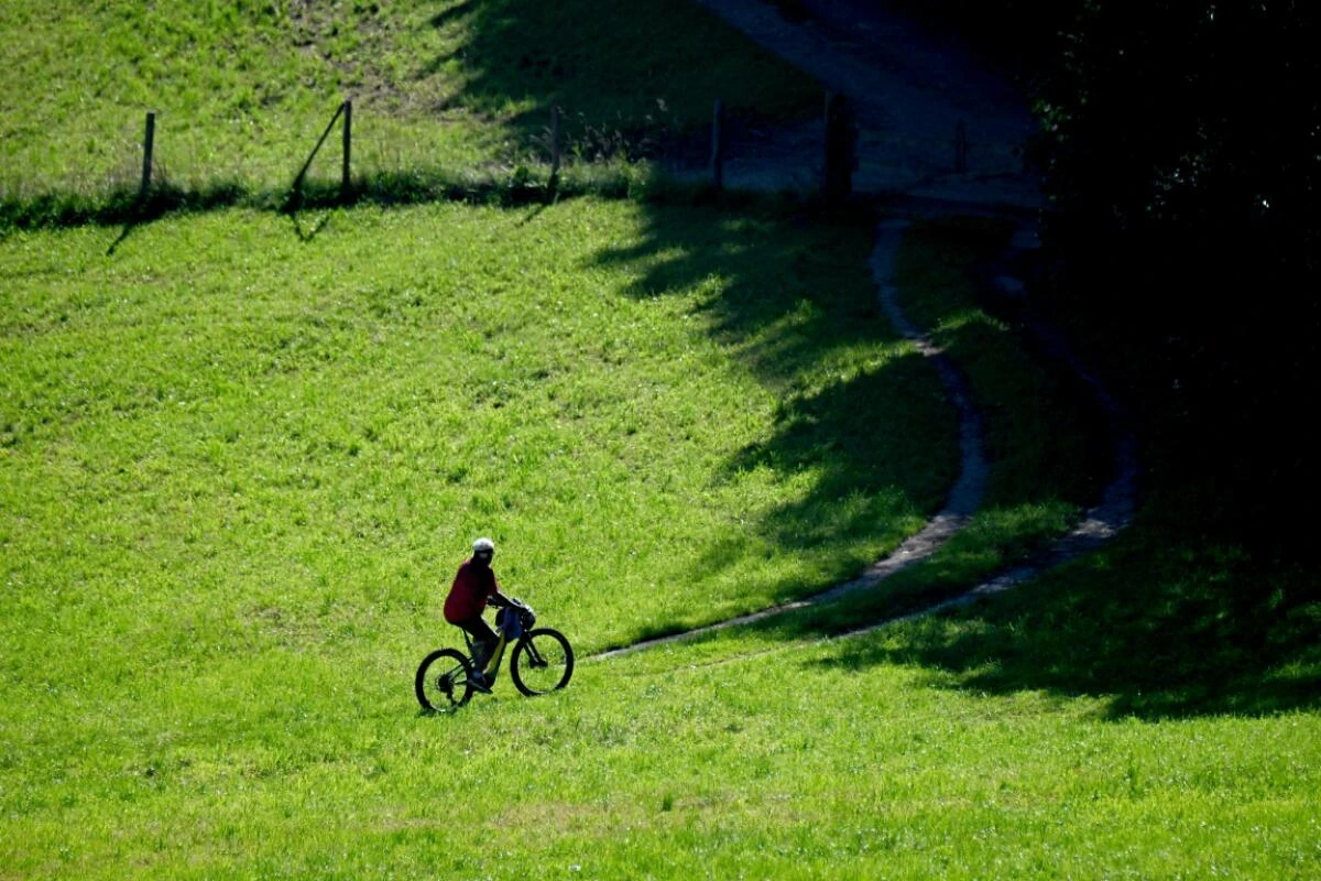 Familien machen am liebsten Urlaub in Österreich