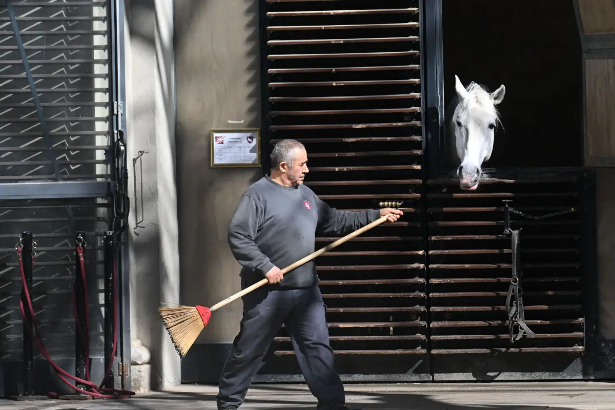 Ministerium kündigte Interimslösung für die Führung an
