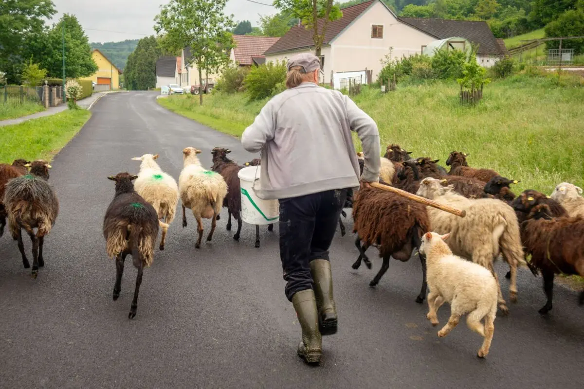 Am Wegesrand warten viele Highlights, Kuriosa und Begegnungen