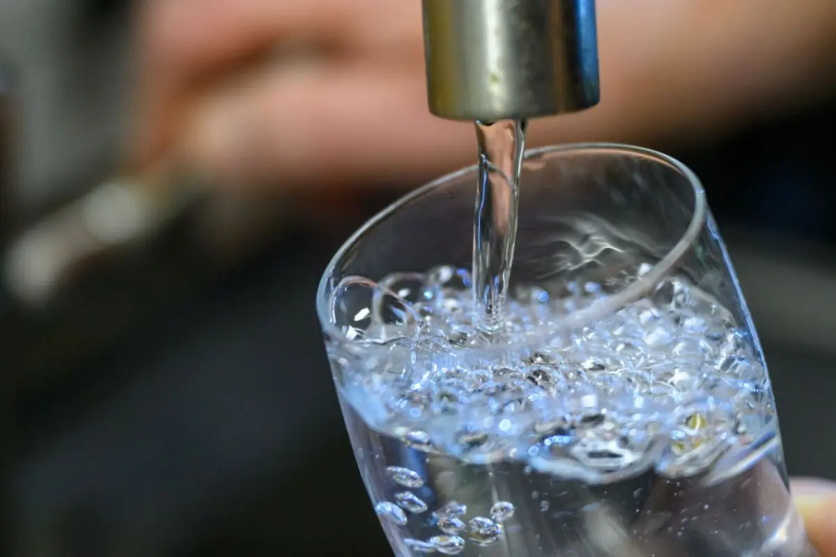 Mehrere PFAS inkl. TFA sollen auf Liste hinzugefügt werden