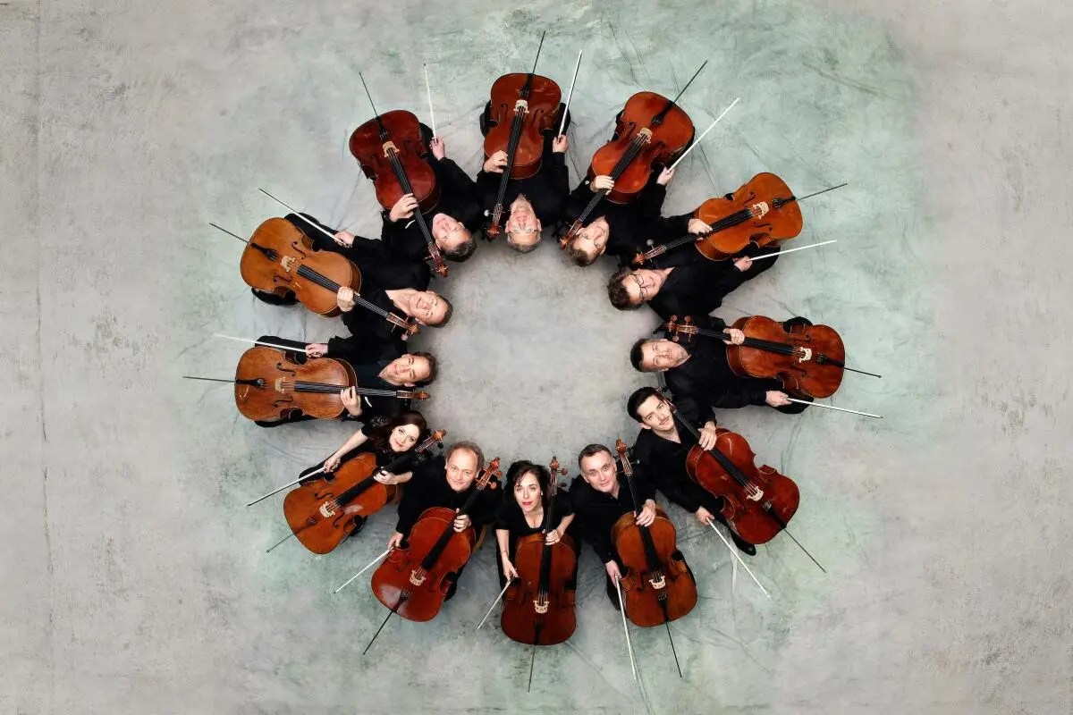 Die 12 Cellisten