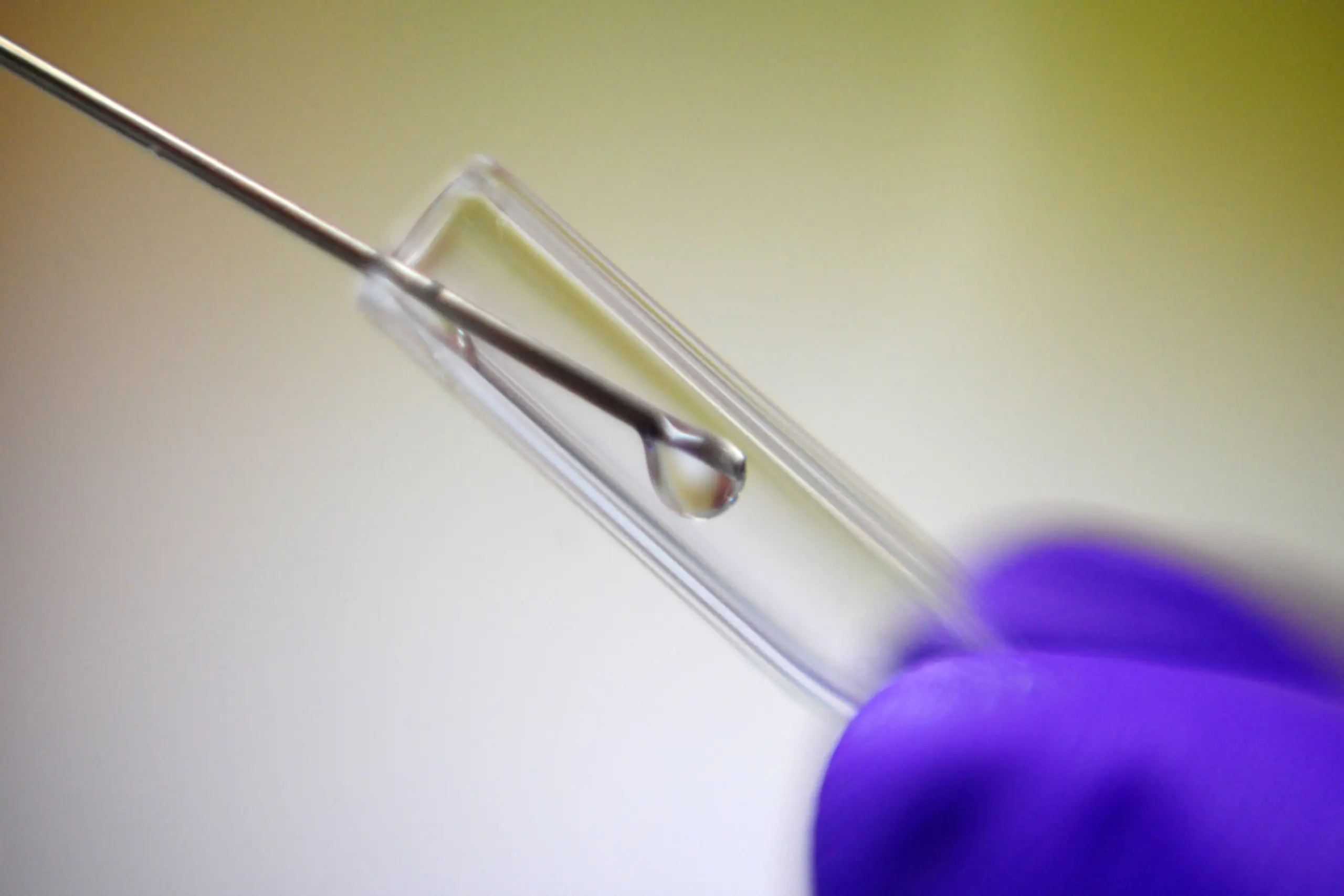 Kürzungen könnten irreversiblen Schaden anrichten