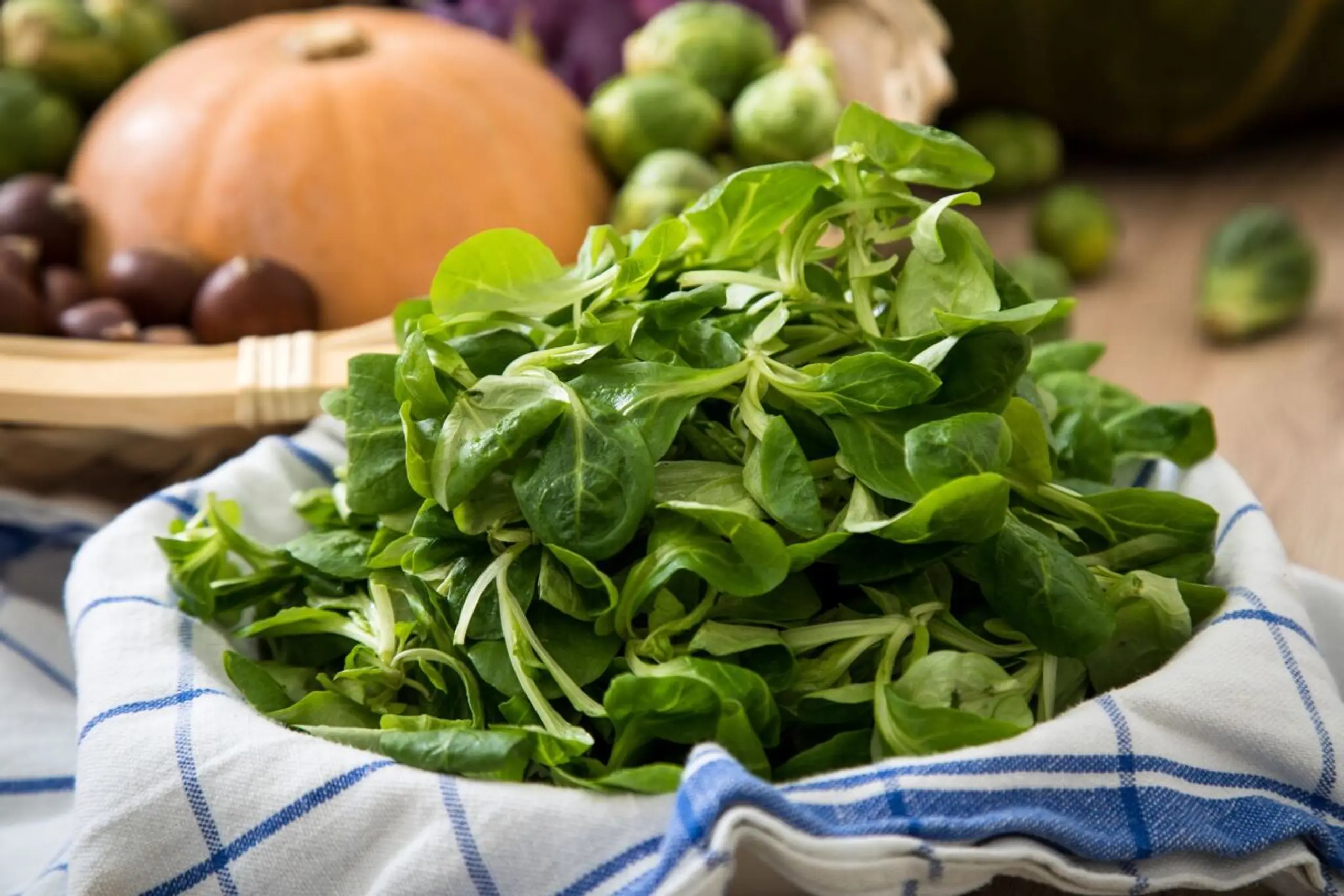 In den kleinen Blättern steckt viel Gutes