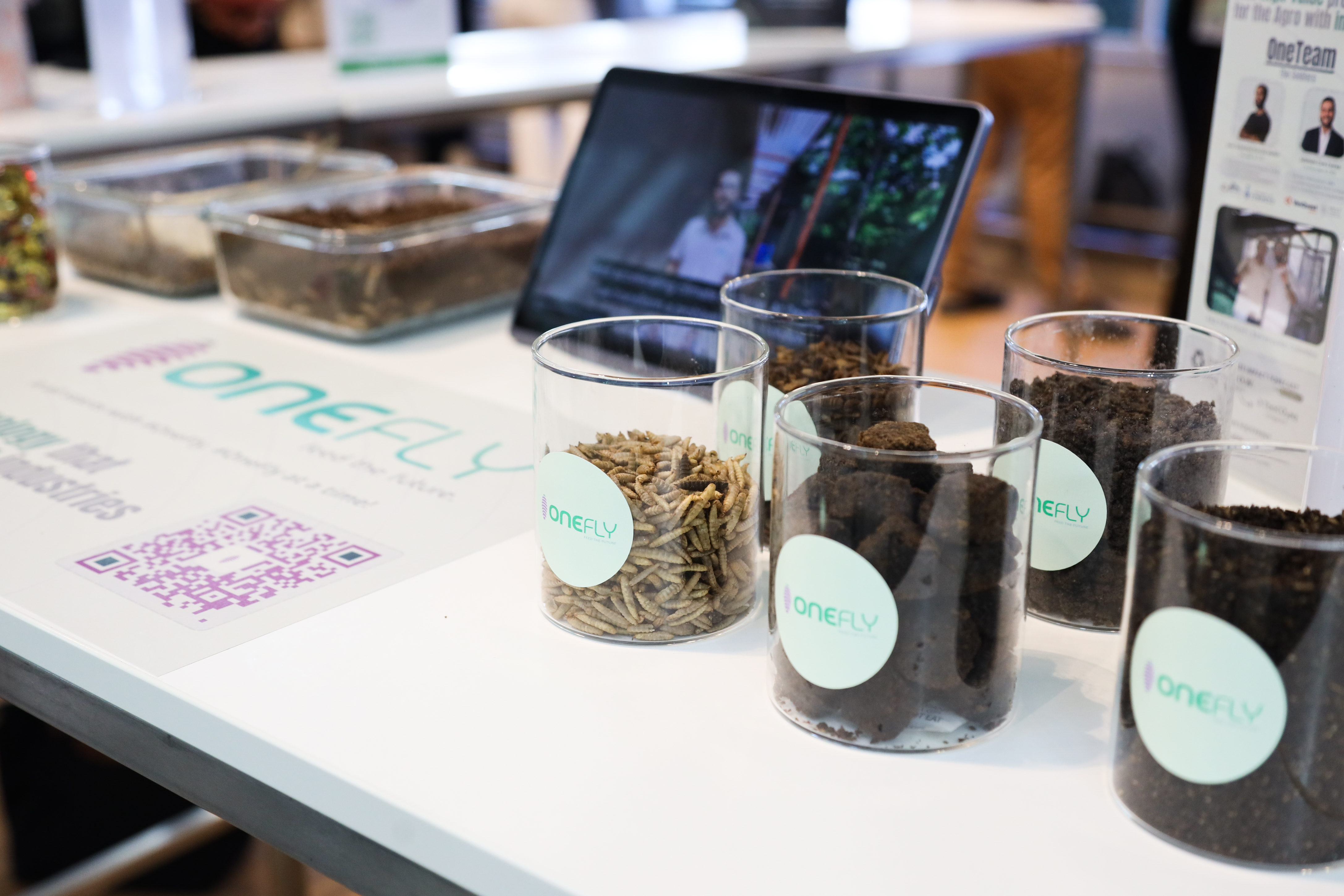 Climate Innovation Festival (CIFE) – Bild 5 von 37