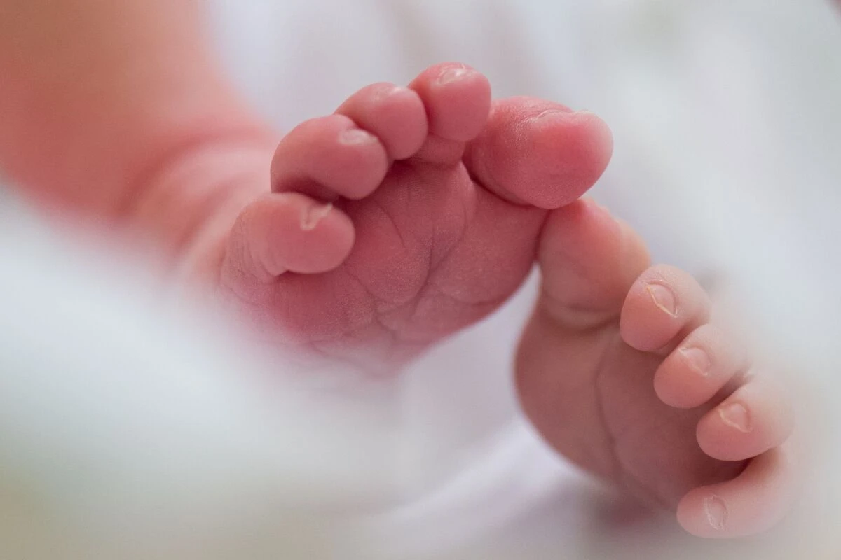 ++ ARCHIVBILD ++ Beikost für Babys kann eine Erdnussallergie vorbeugen