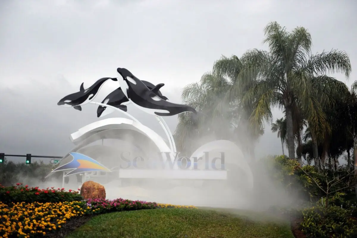 ++ ARCHIVBILD ++ Dertour nimmt Ausflüge wie in die Seaworld in Florida aus dem Programm