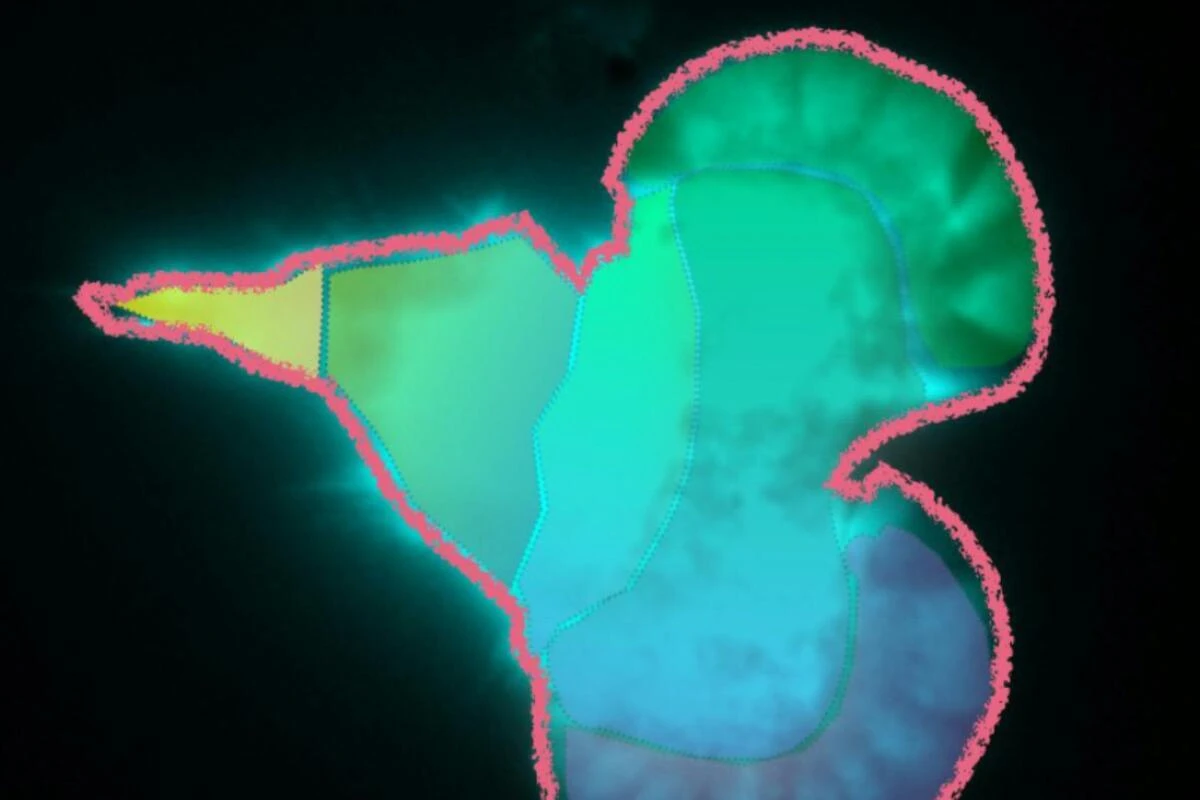 Eine Immunzelle, die Leisten sollen die Bewegungsdynamik verdeutlichen