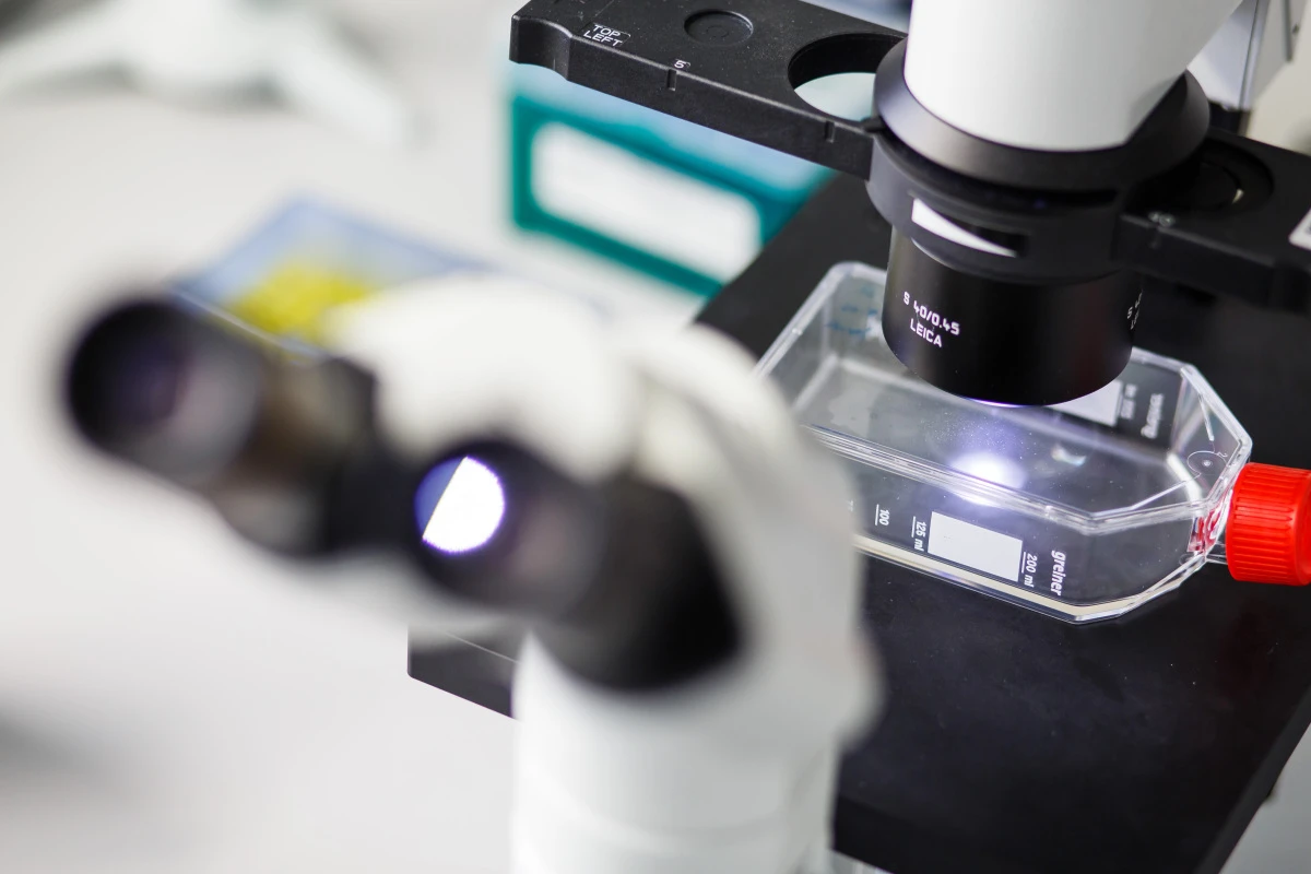 Die höhere Temperatur bei Fieber macht die Immunzellen schneller