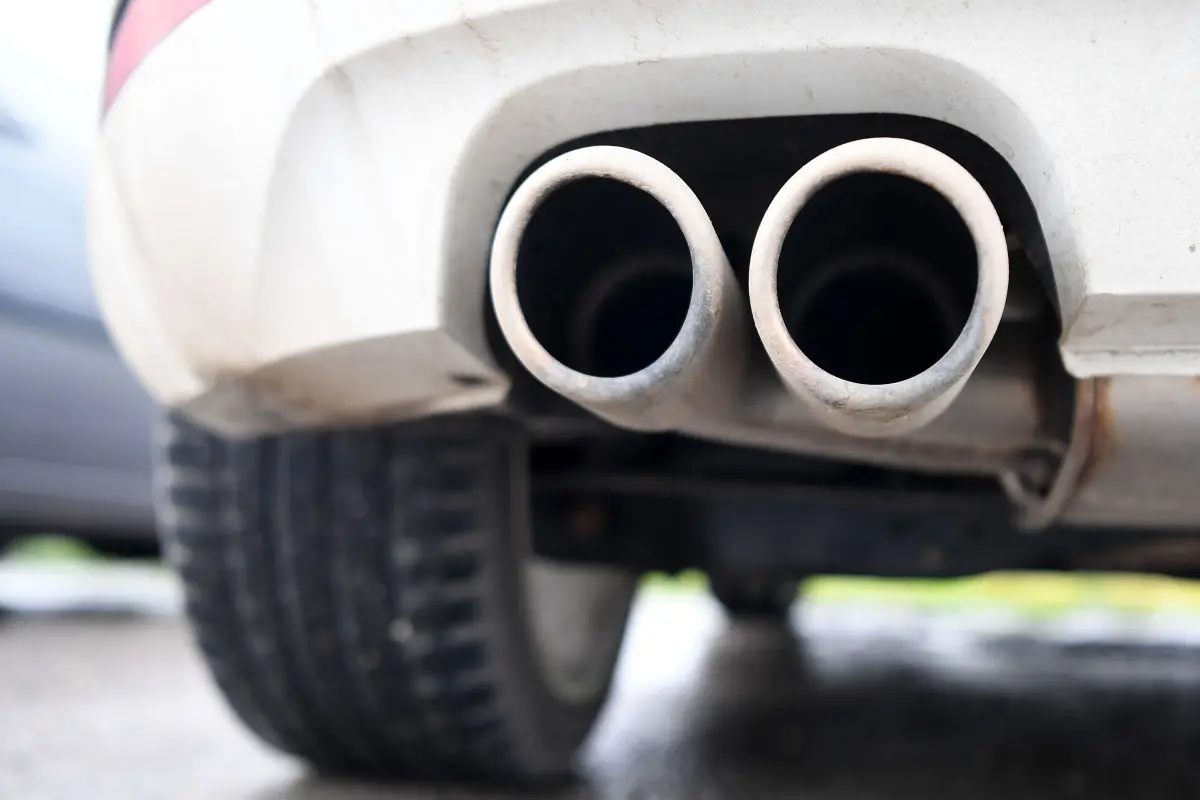 Bau würde die Klimaschutzpolitik in Wien und der Region untergraben