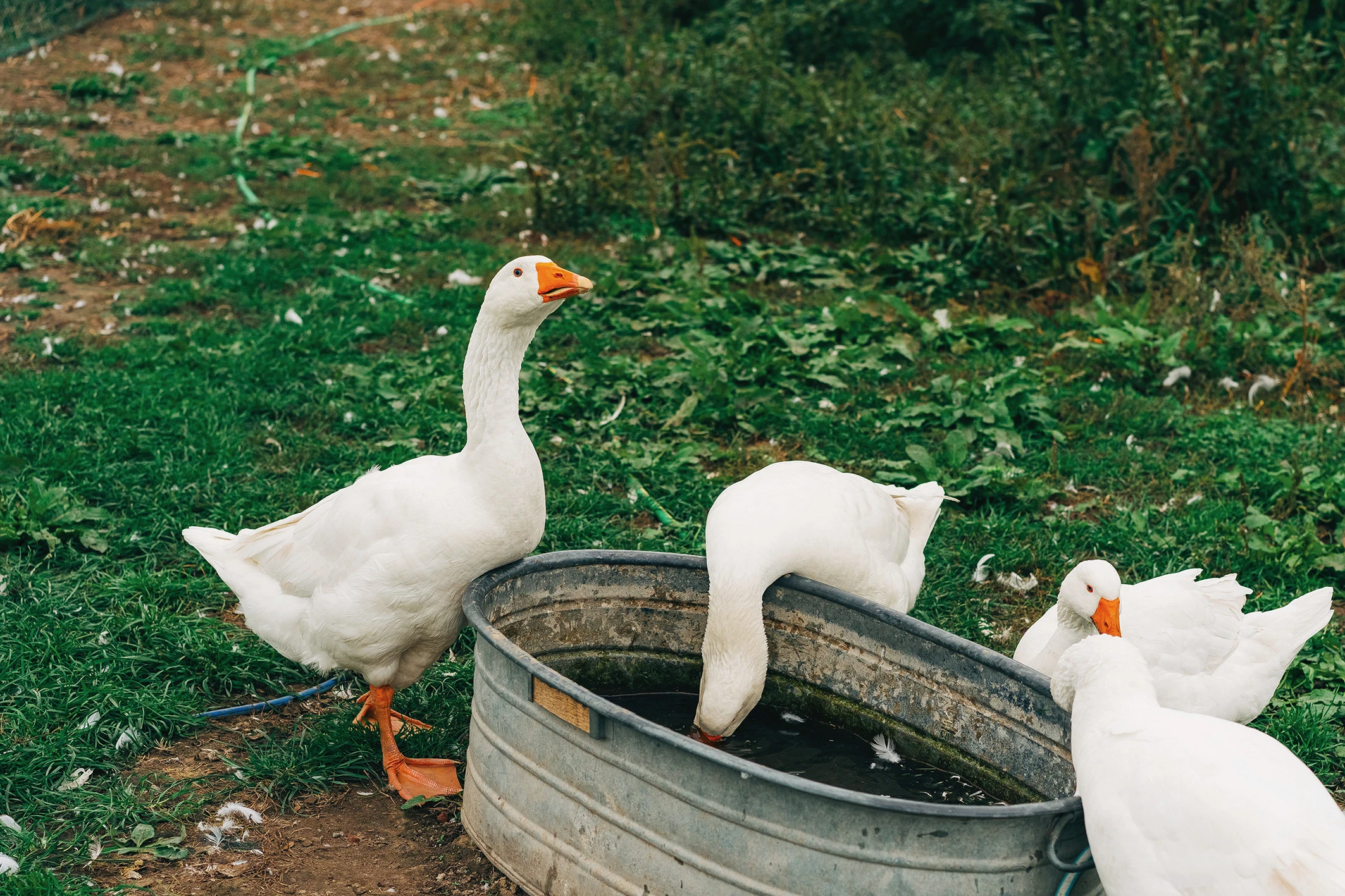 © Bild: GettyImages Blurred image background