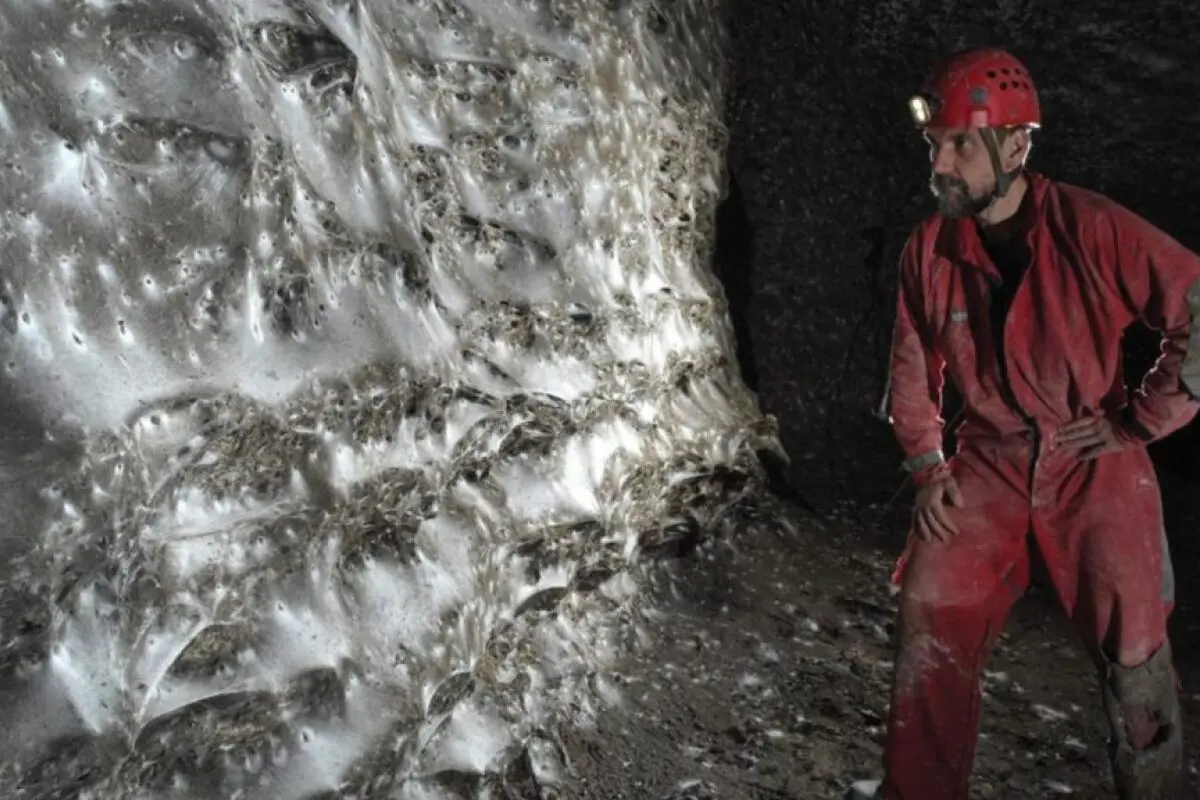 Riesennetz entdeckt: 111.000 Spinnen in einer Höhle