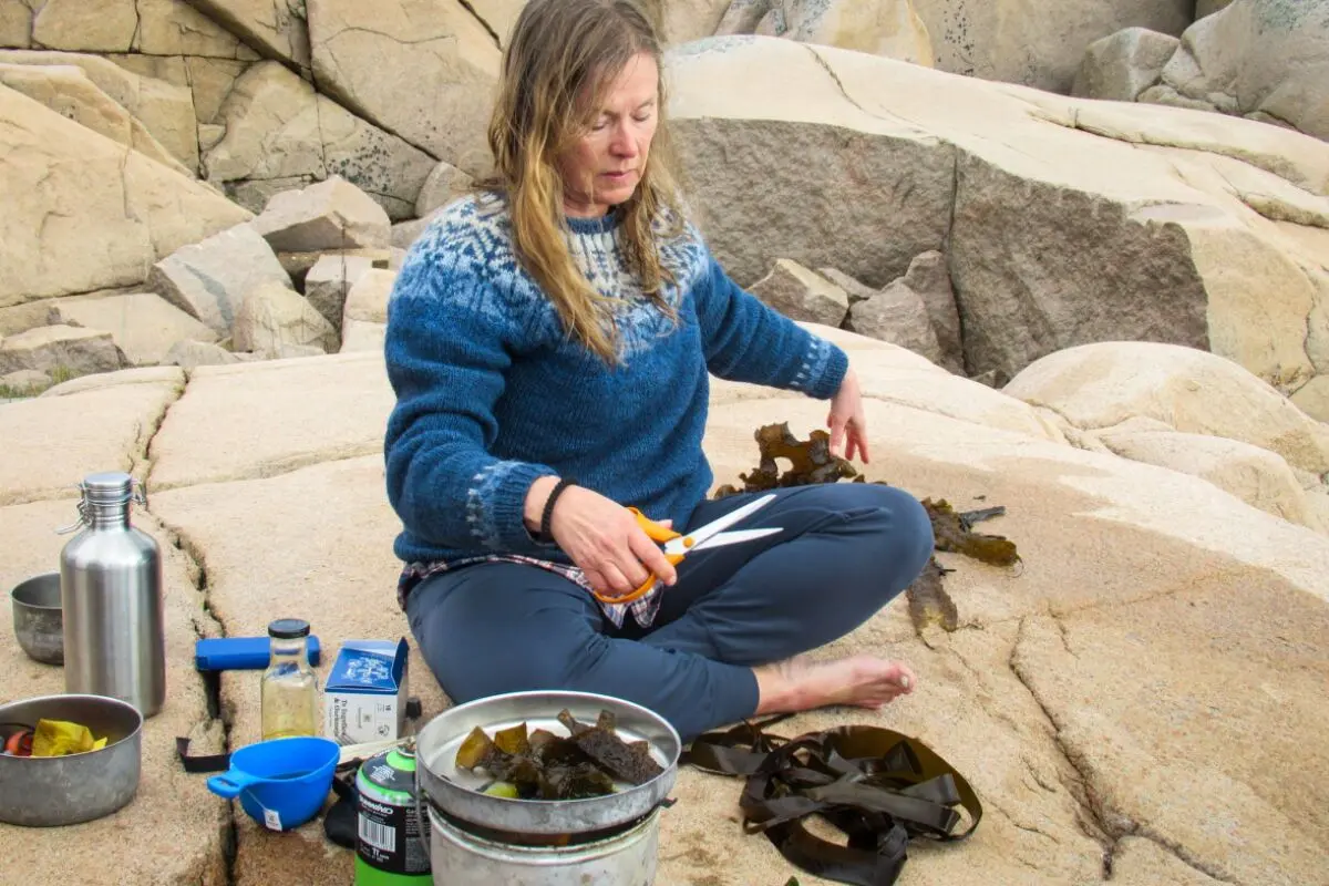 ++ ARCHIVBILD ++ Von der Bucht auf den Teller: Linnea Sjögren verarbeitet frische Algen