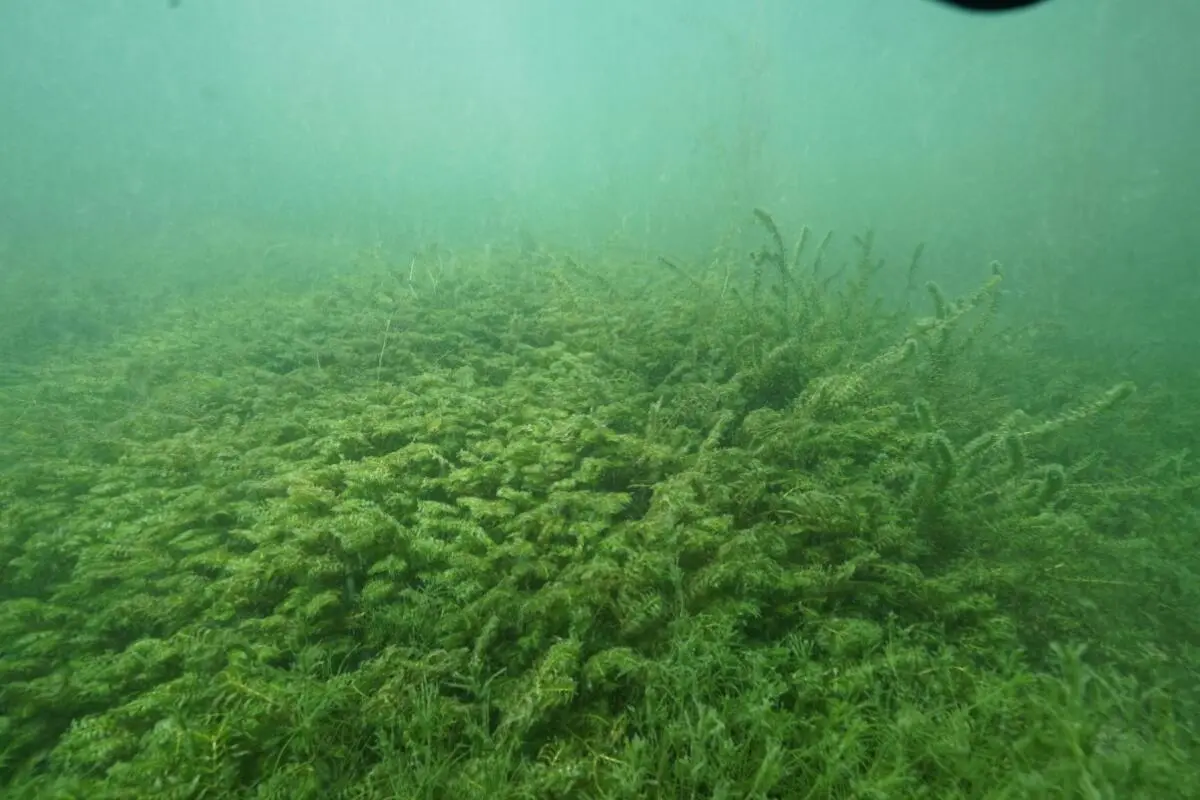 War wohl im Dornröschenschlaf