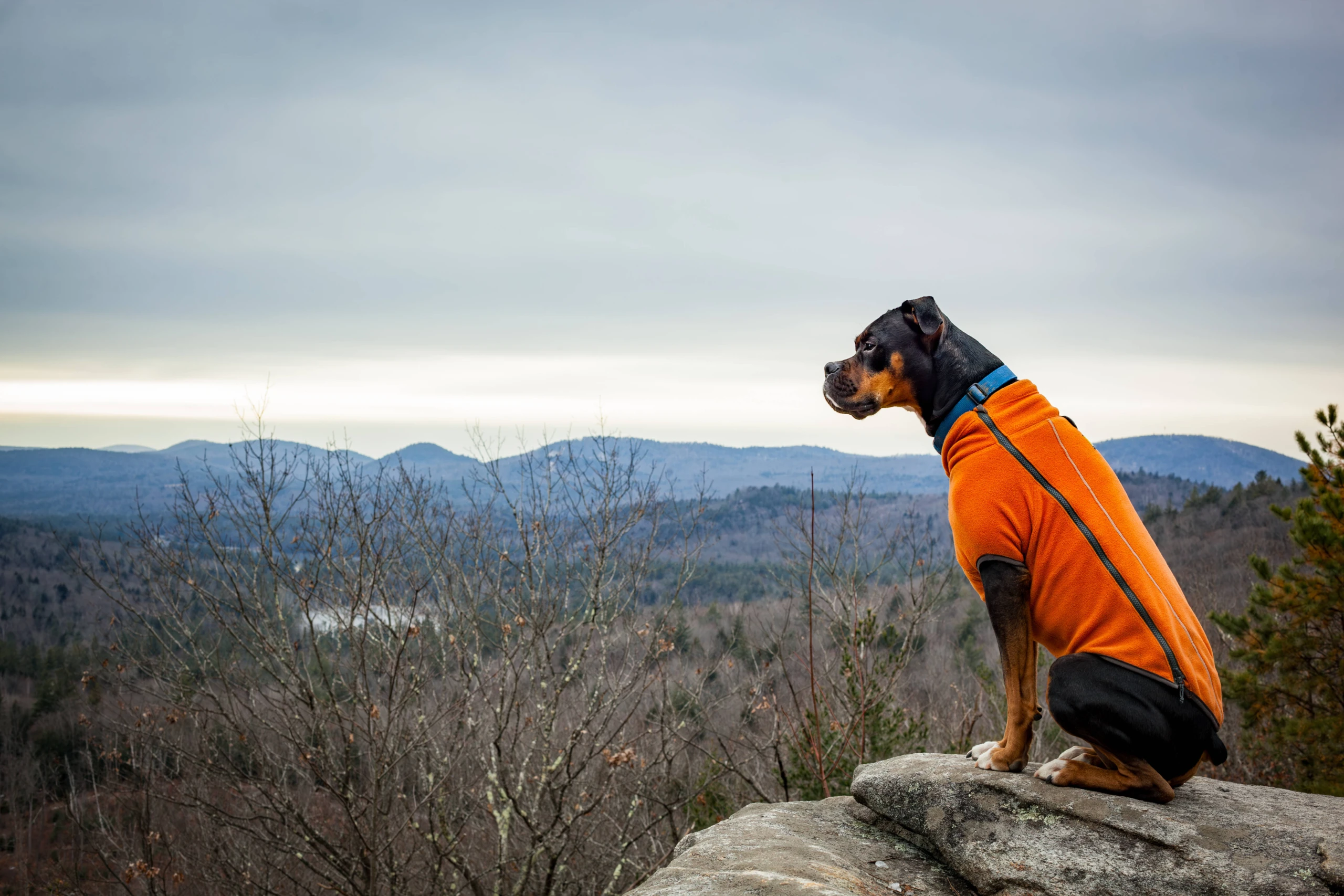 © IMAGO / Cavan Images Blurred image background