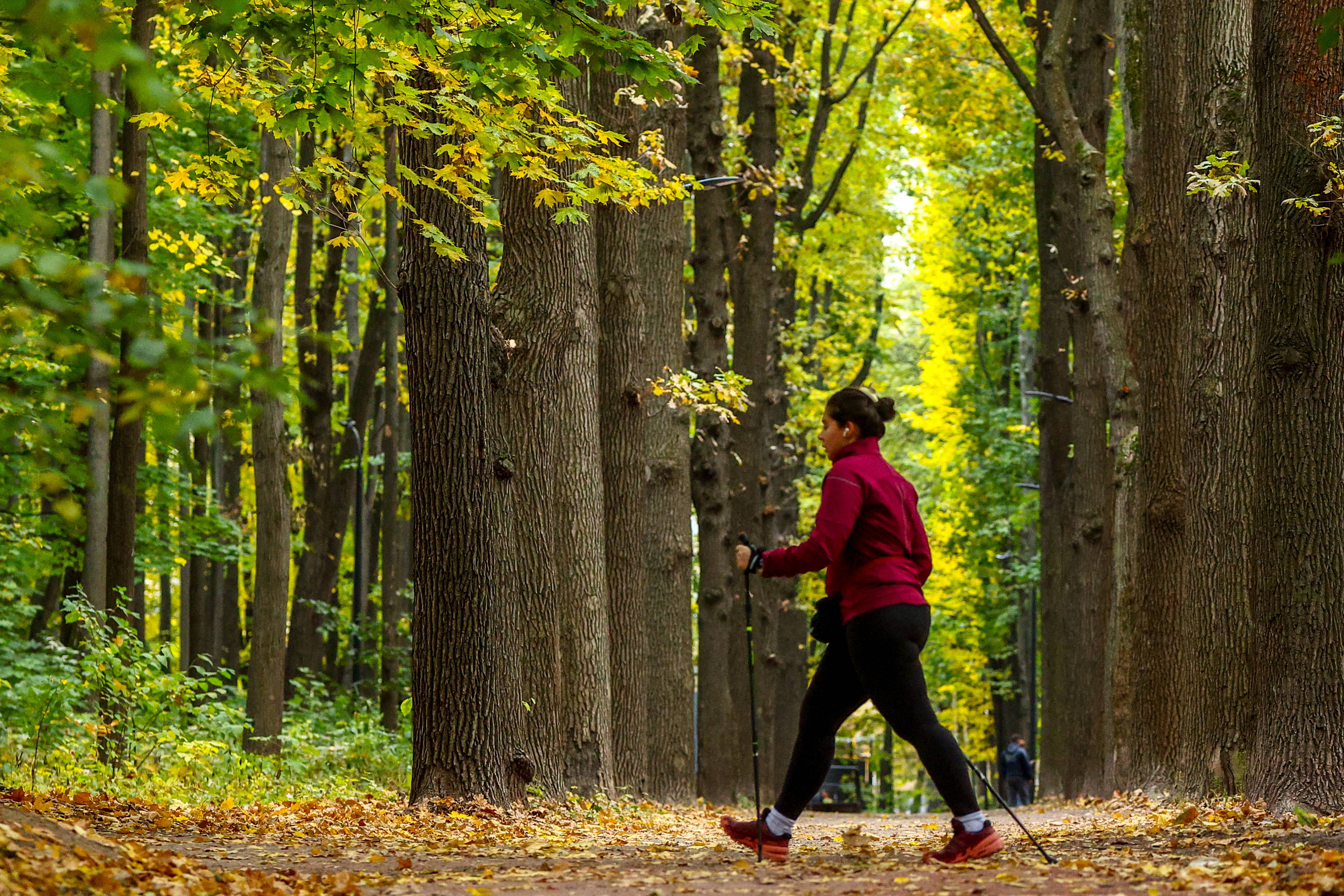 Blurred image background