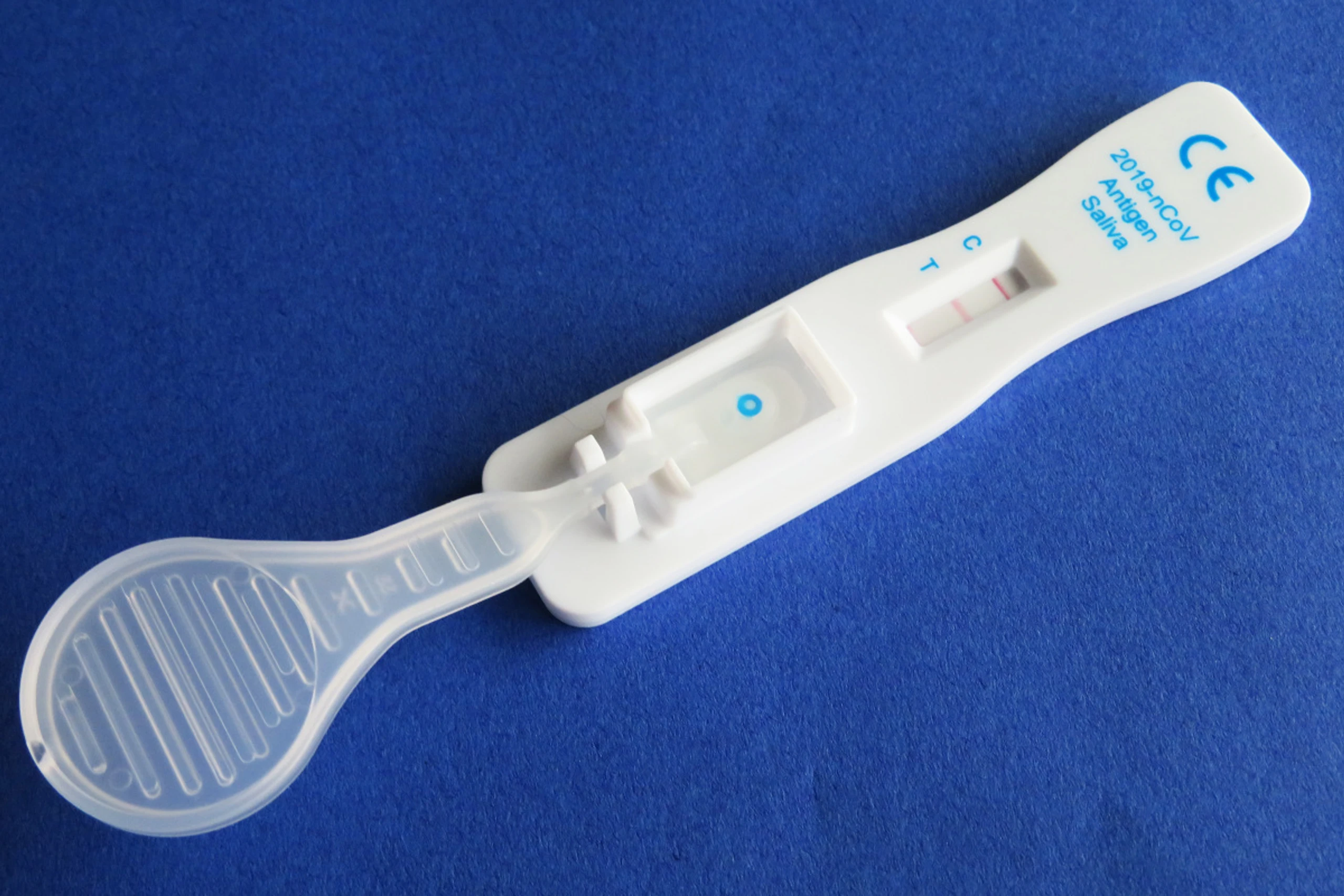 Bis zu 50 Jahren sind milde Erkrankungsverläufe wahrscheinlich