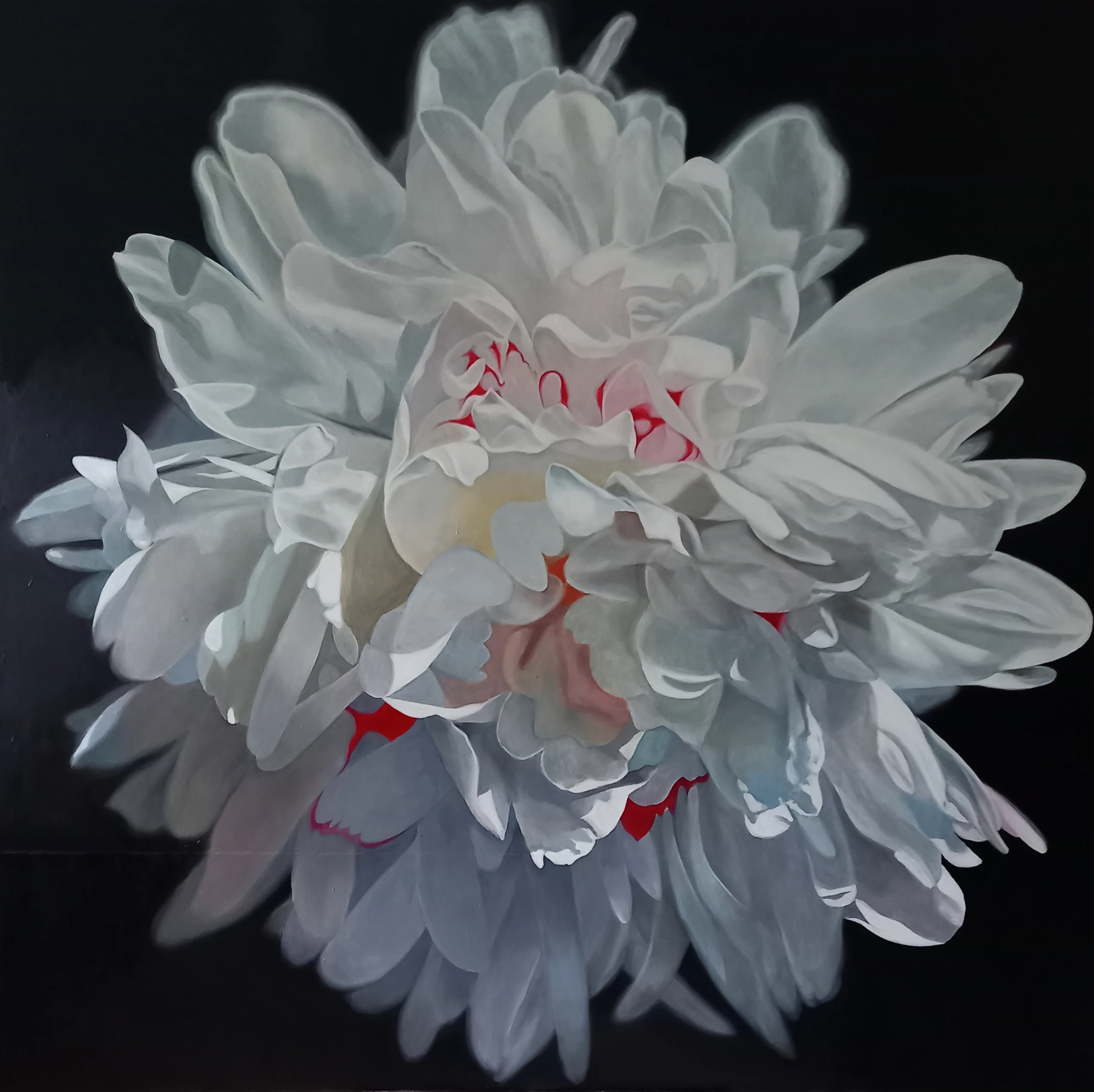 Blurred image background