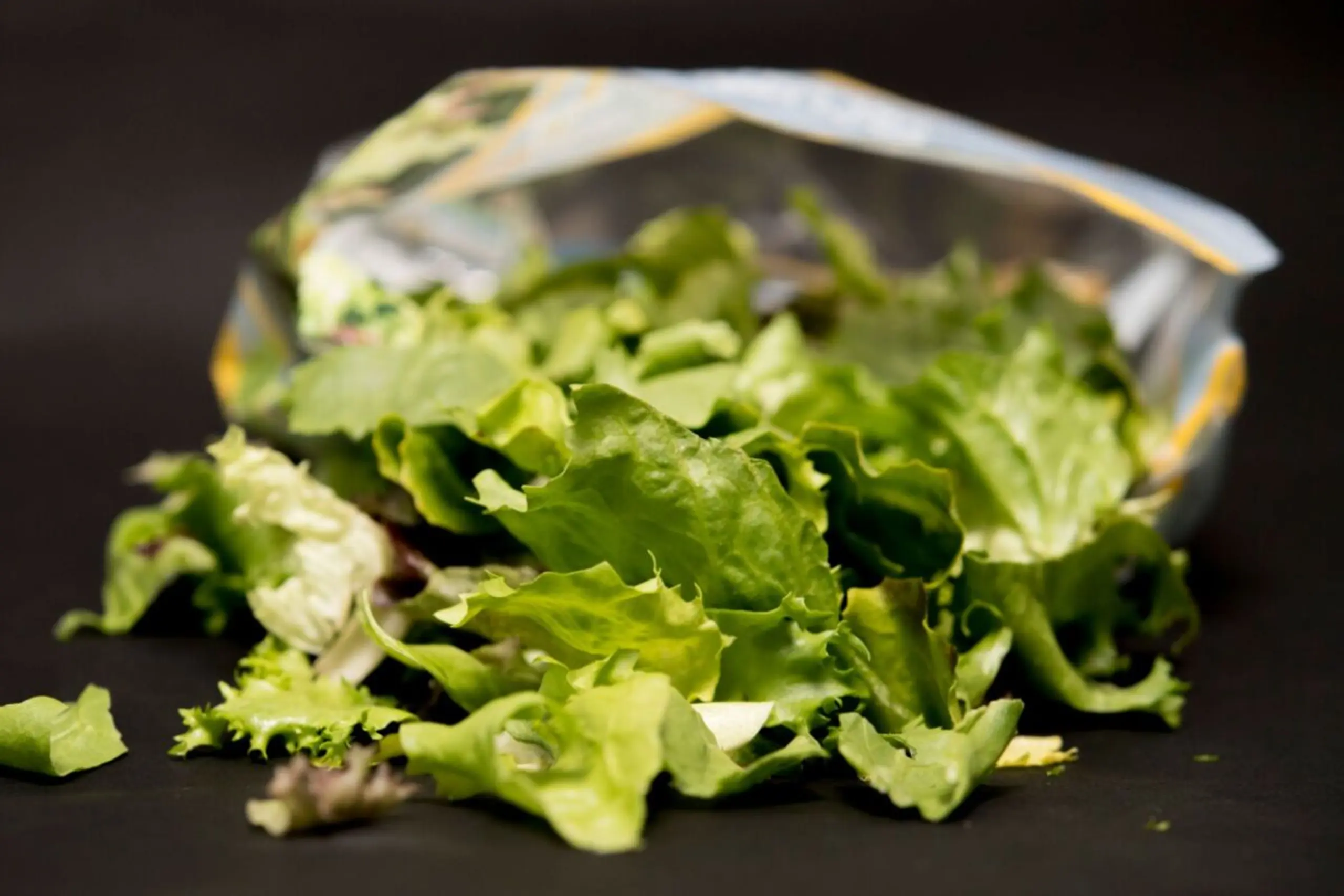 Vorgeschnittene Salate können gesundheitsgefährdende Keime enthalten