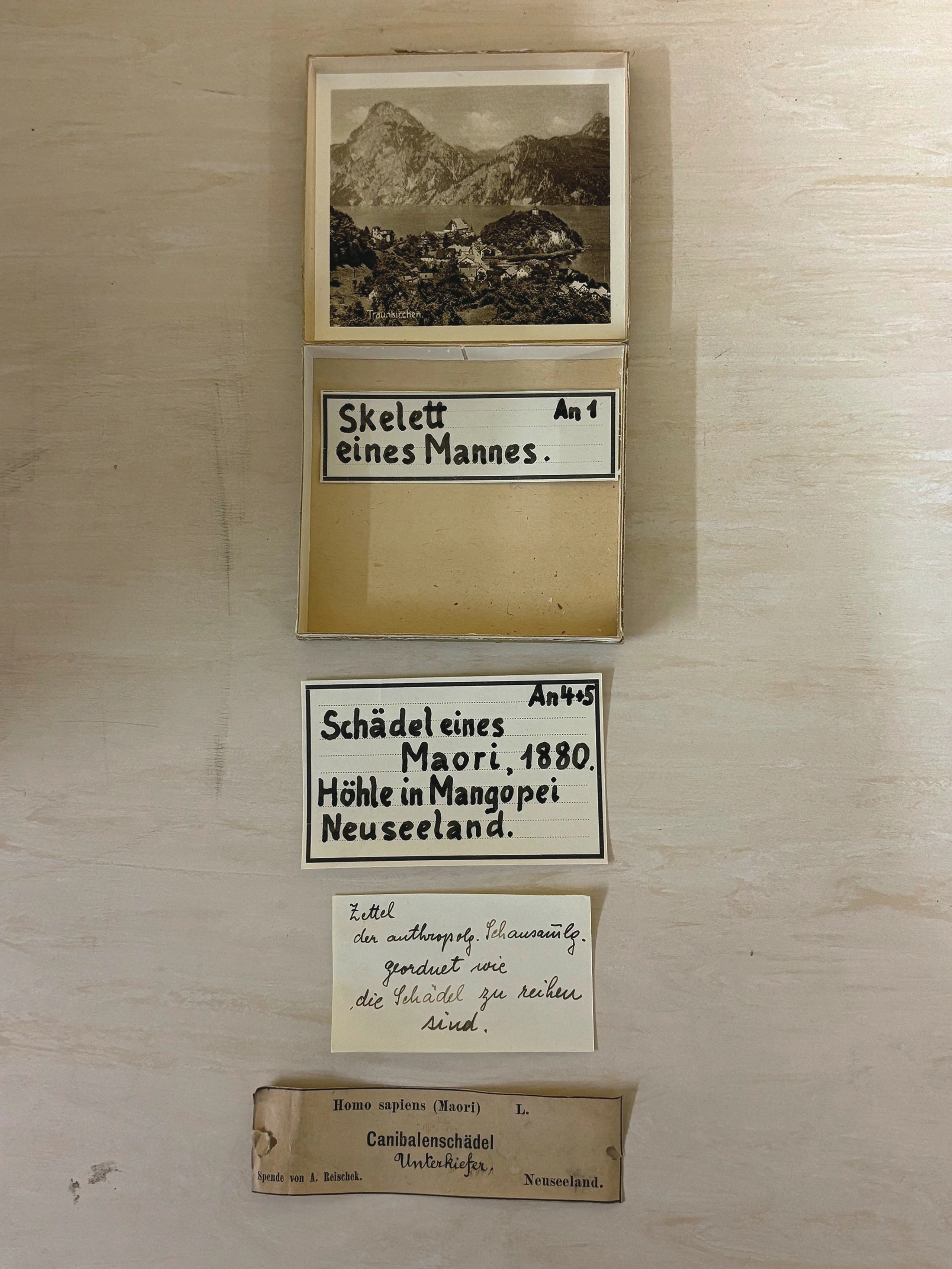 Blurred image background