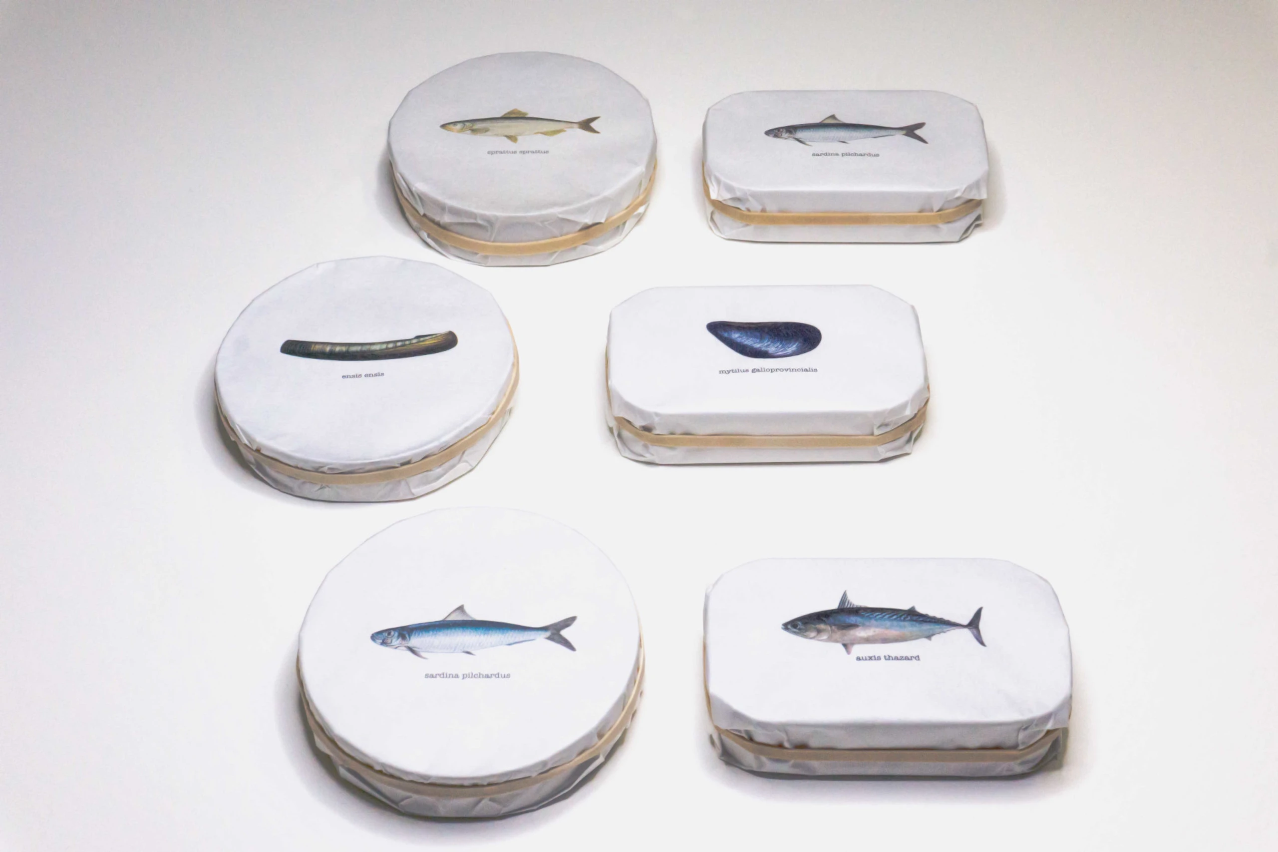 © Pyscis GmbH Blurred image background