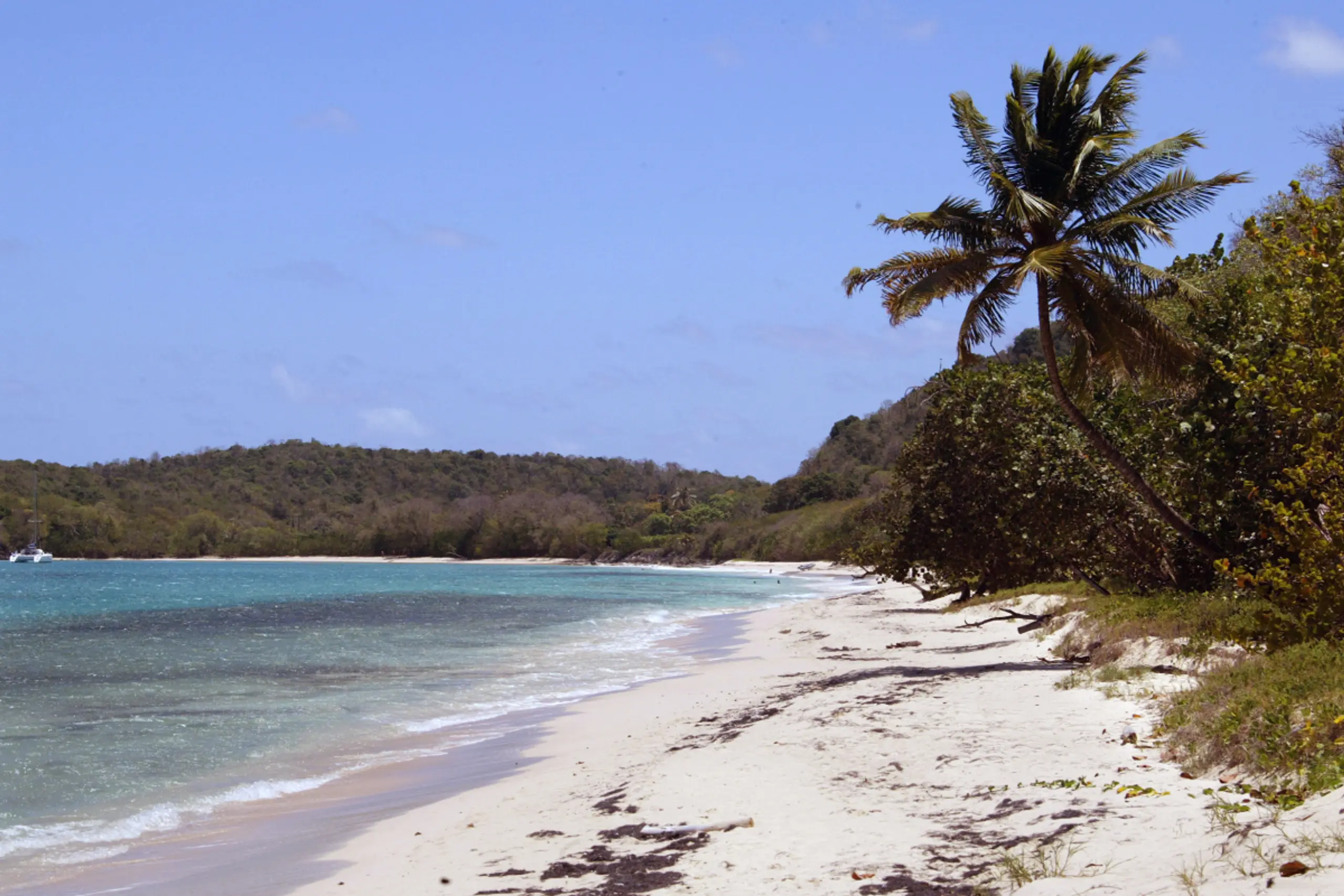 Funde auf kleinen Inseln südlich von Guadeloupe