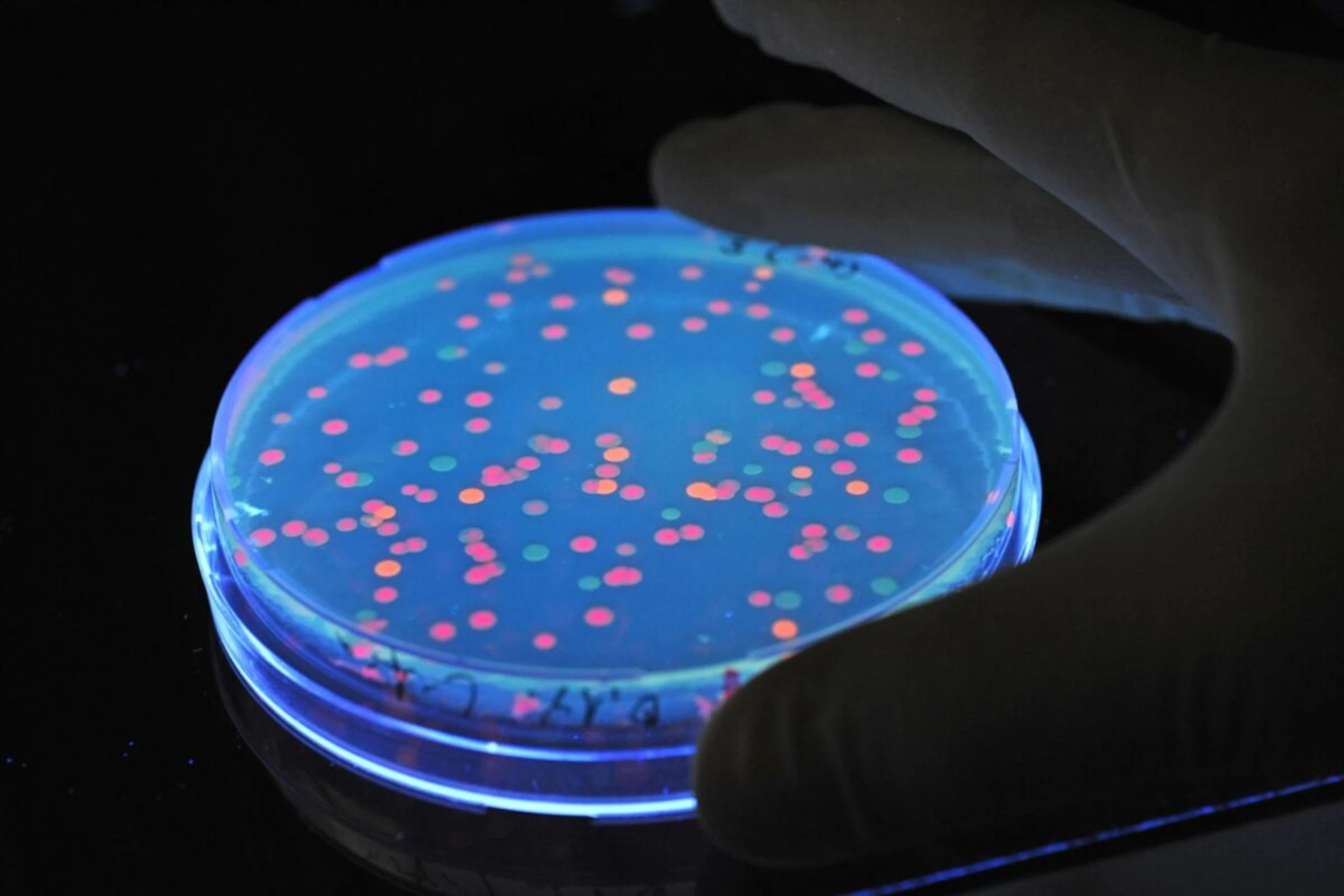 Wissenschaftsbarometer der ÖAW präsentiert