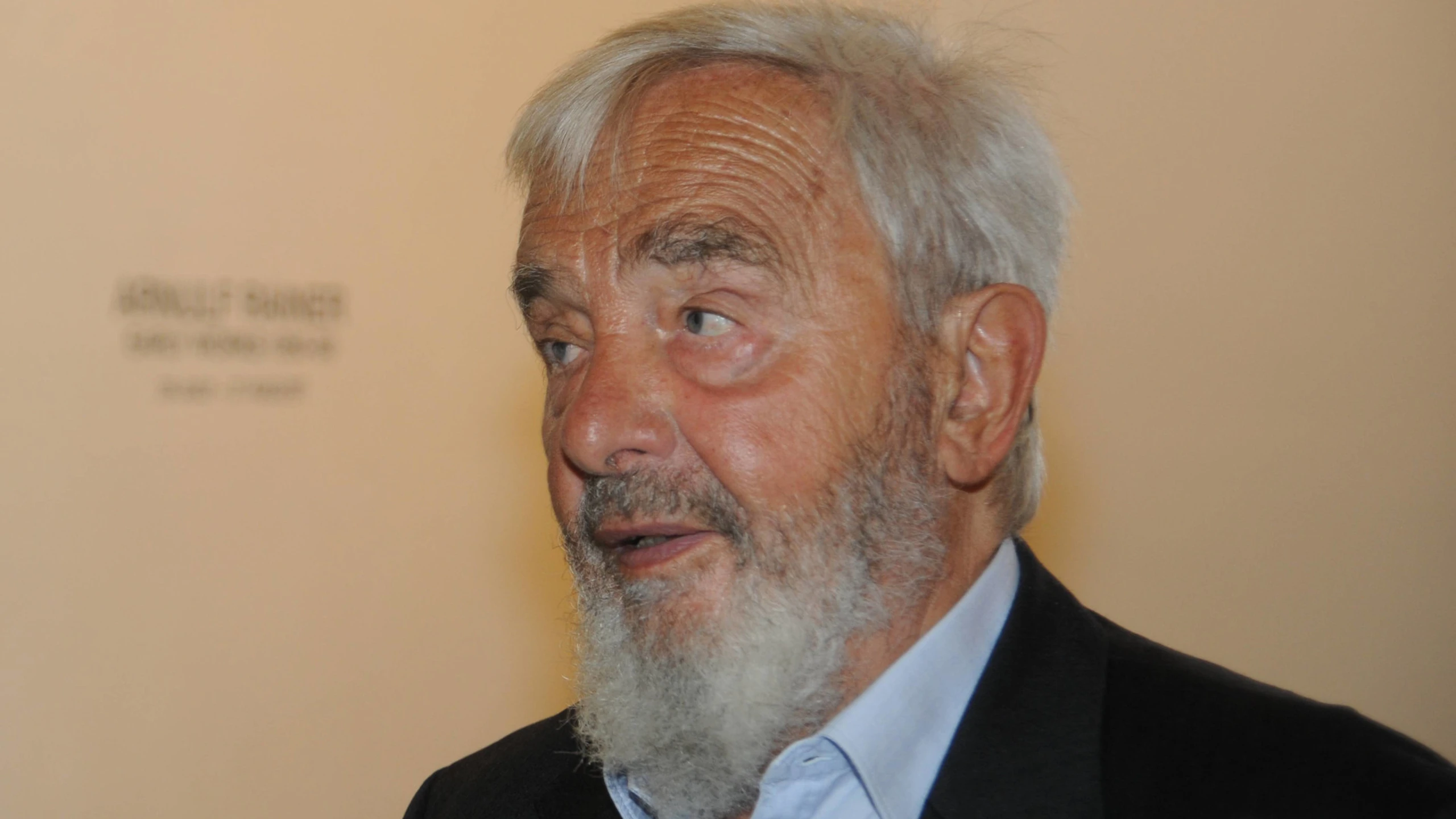 Maler Arnulf Rainer gestorben