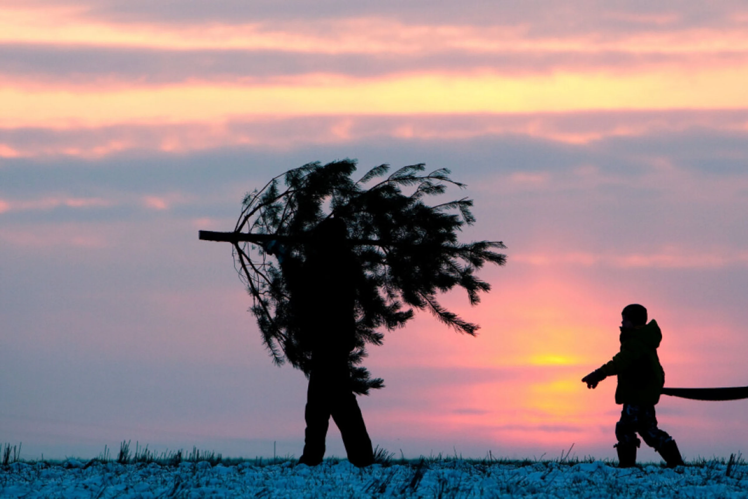 Kleiner Immunbooster möglich