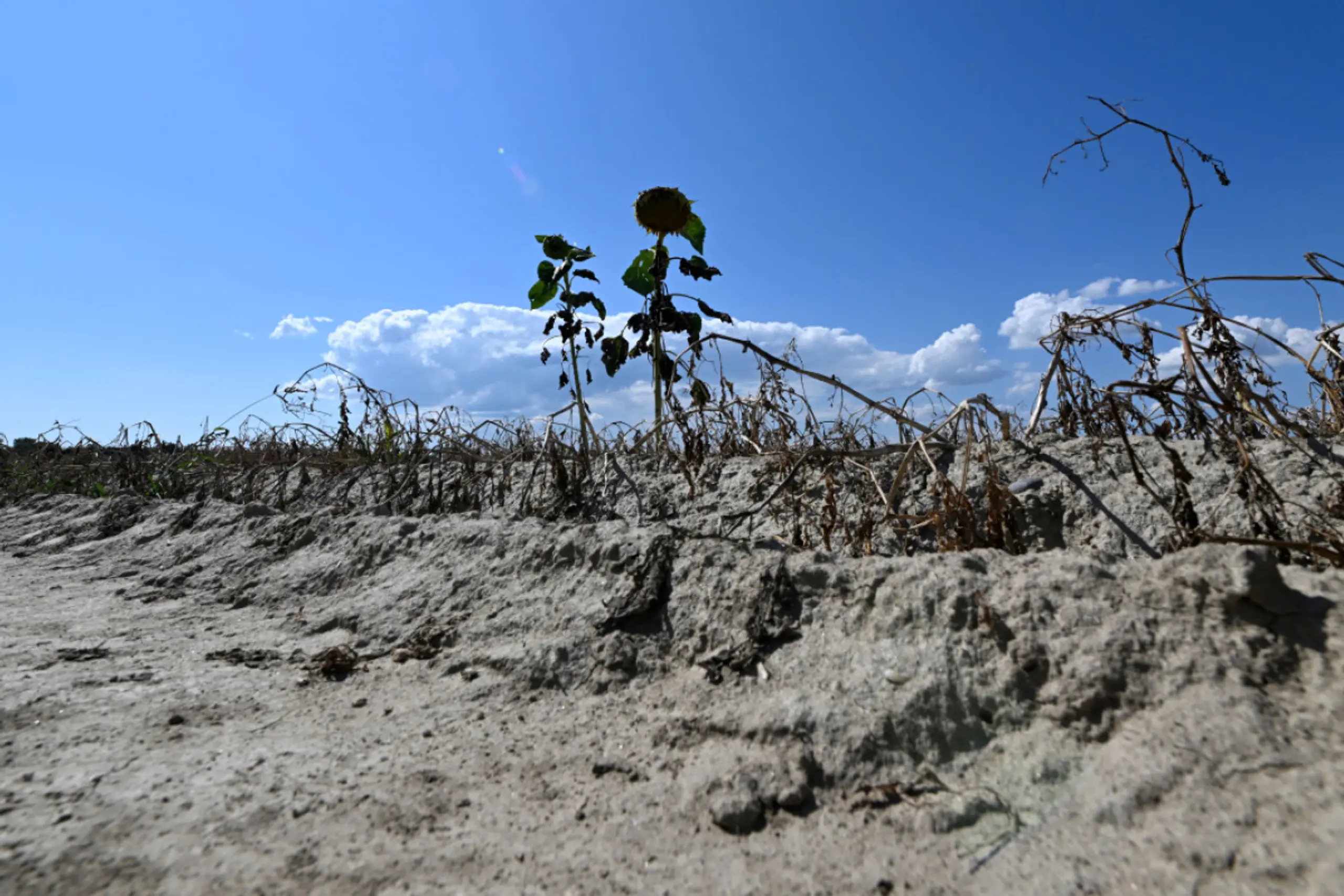 Wahrscheinlich wird Marke von 1,5 Grad erneut überschritten