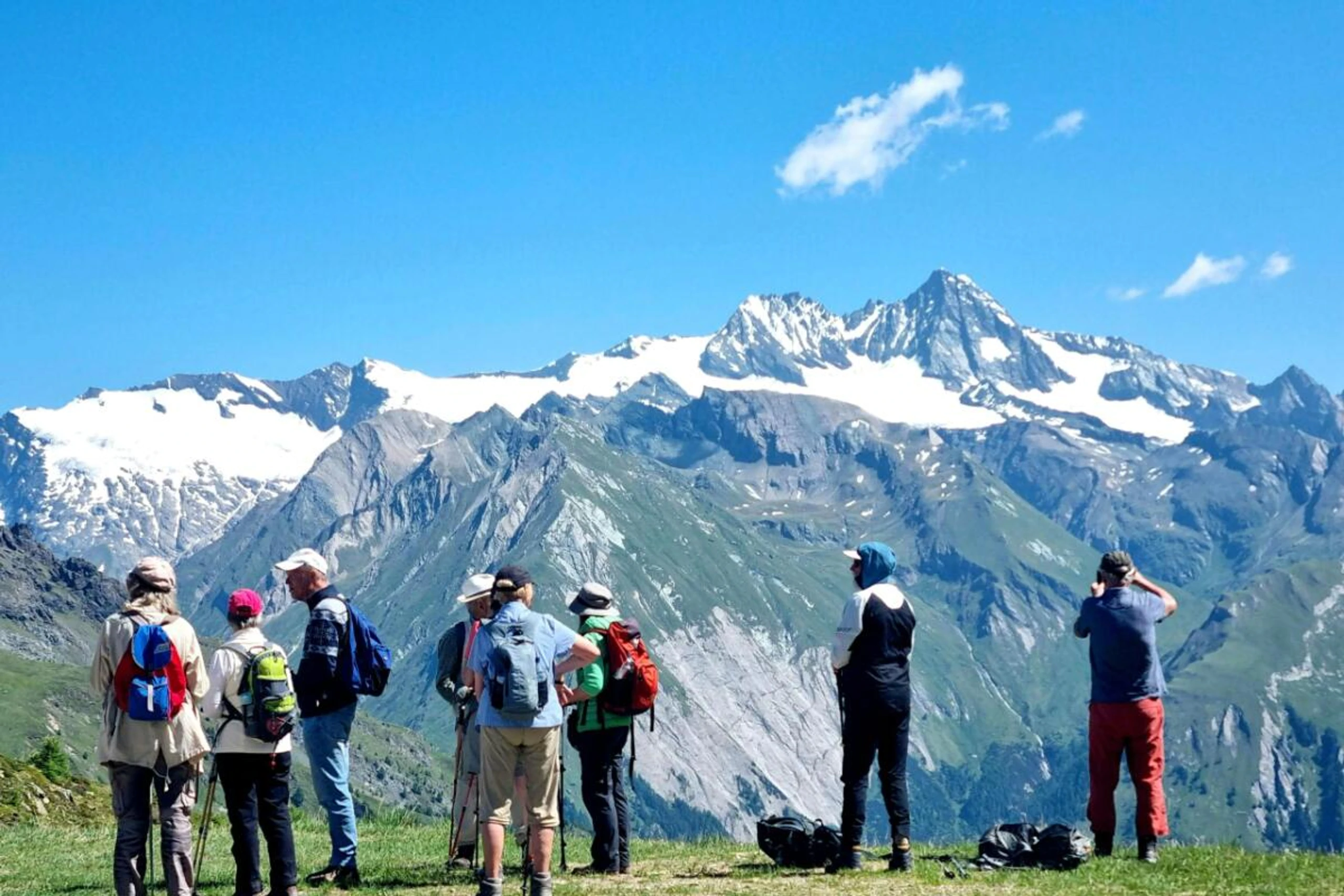 Alpines Austro-Sommeridyll mit Blick auf den Großglockner