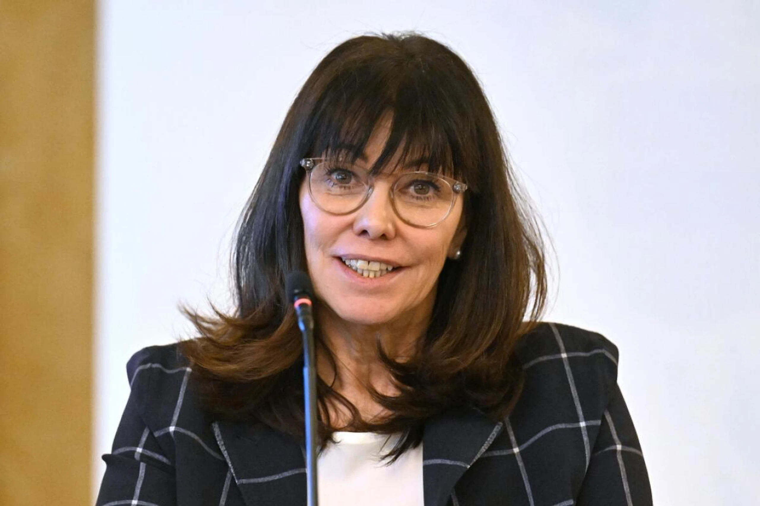 Vorschläge von WKÖ-Chefin Schultz würden das Budget stark belasten