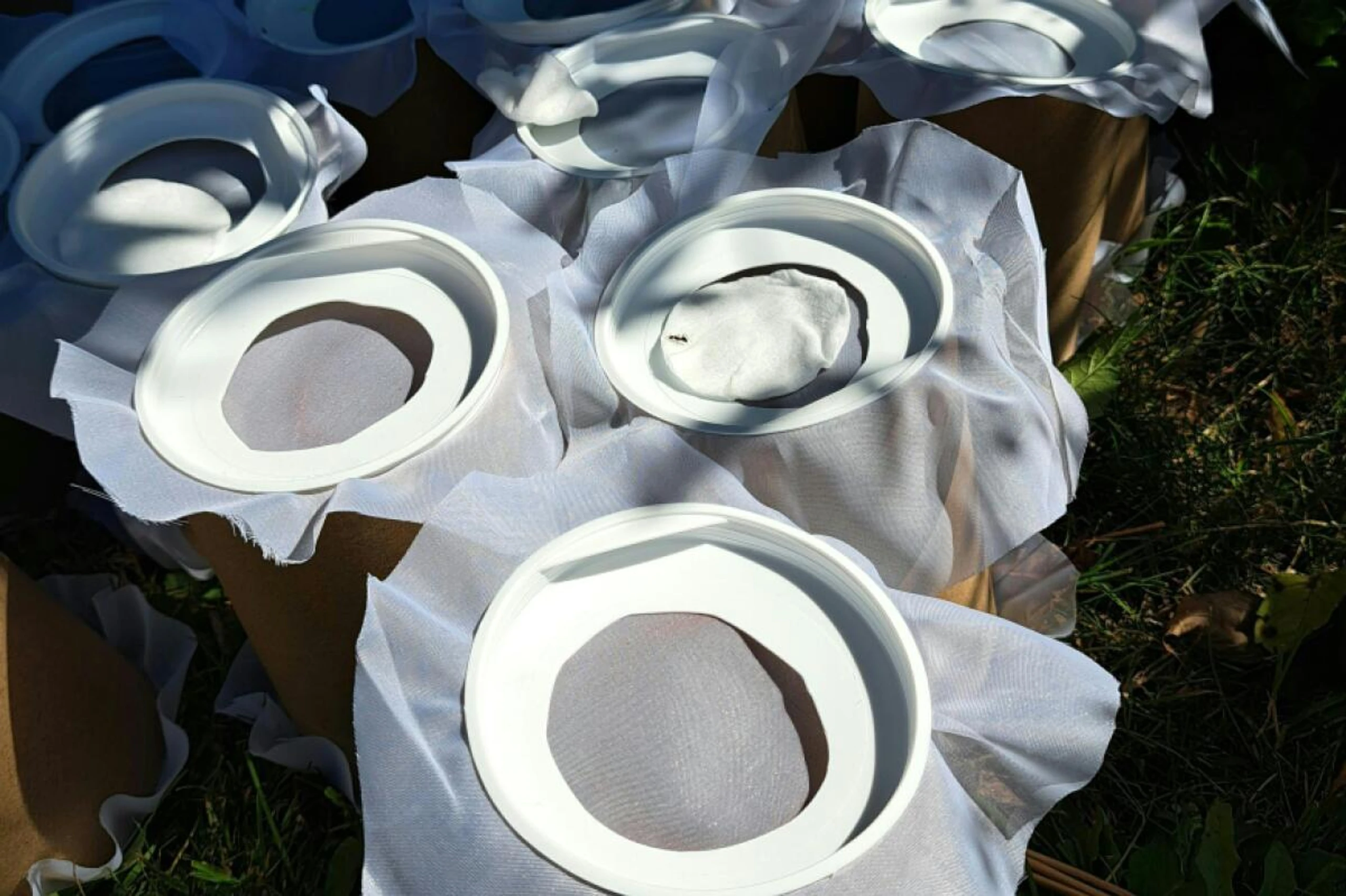 In diesen Behältern wurden die sterilen Mücken nach Graz gebracht