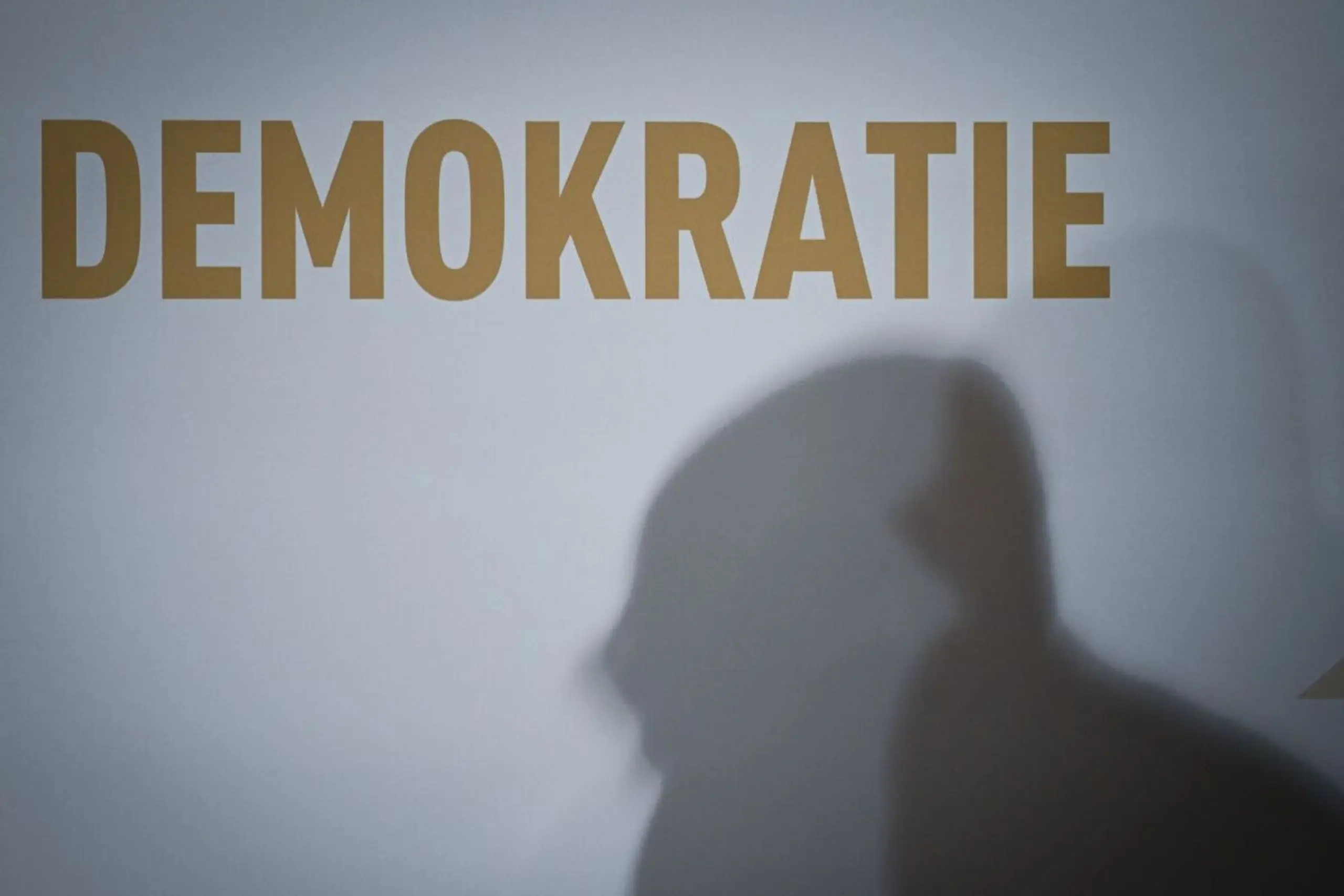 ++ ARCHIVBILD ++ Vielfältige Perspektiven allein garantieren keine resiliente Demokratie