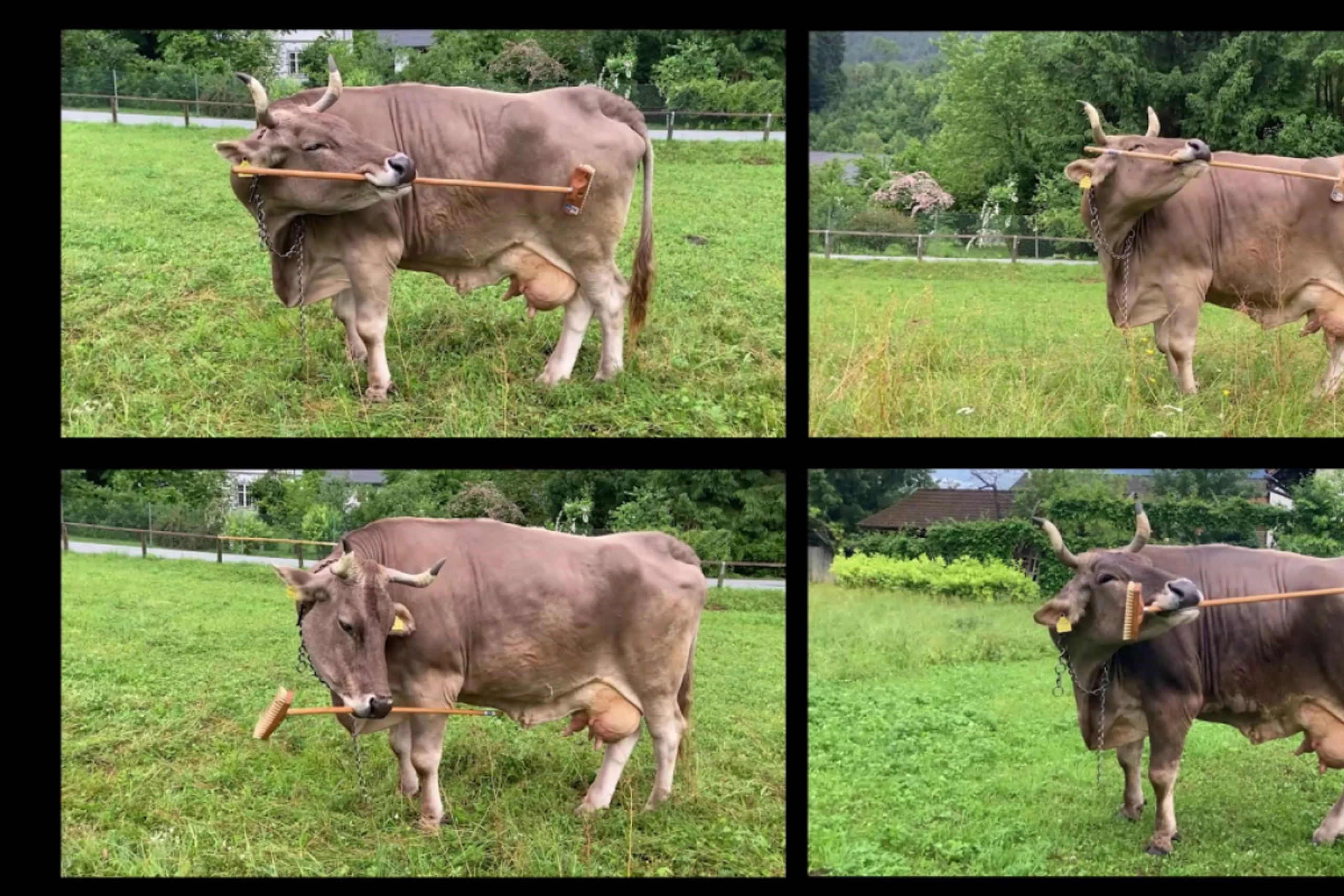 ++ HANDOUT ++ Dabei nutzt sie unterschiedliche Techniken