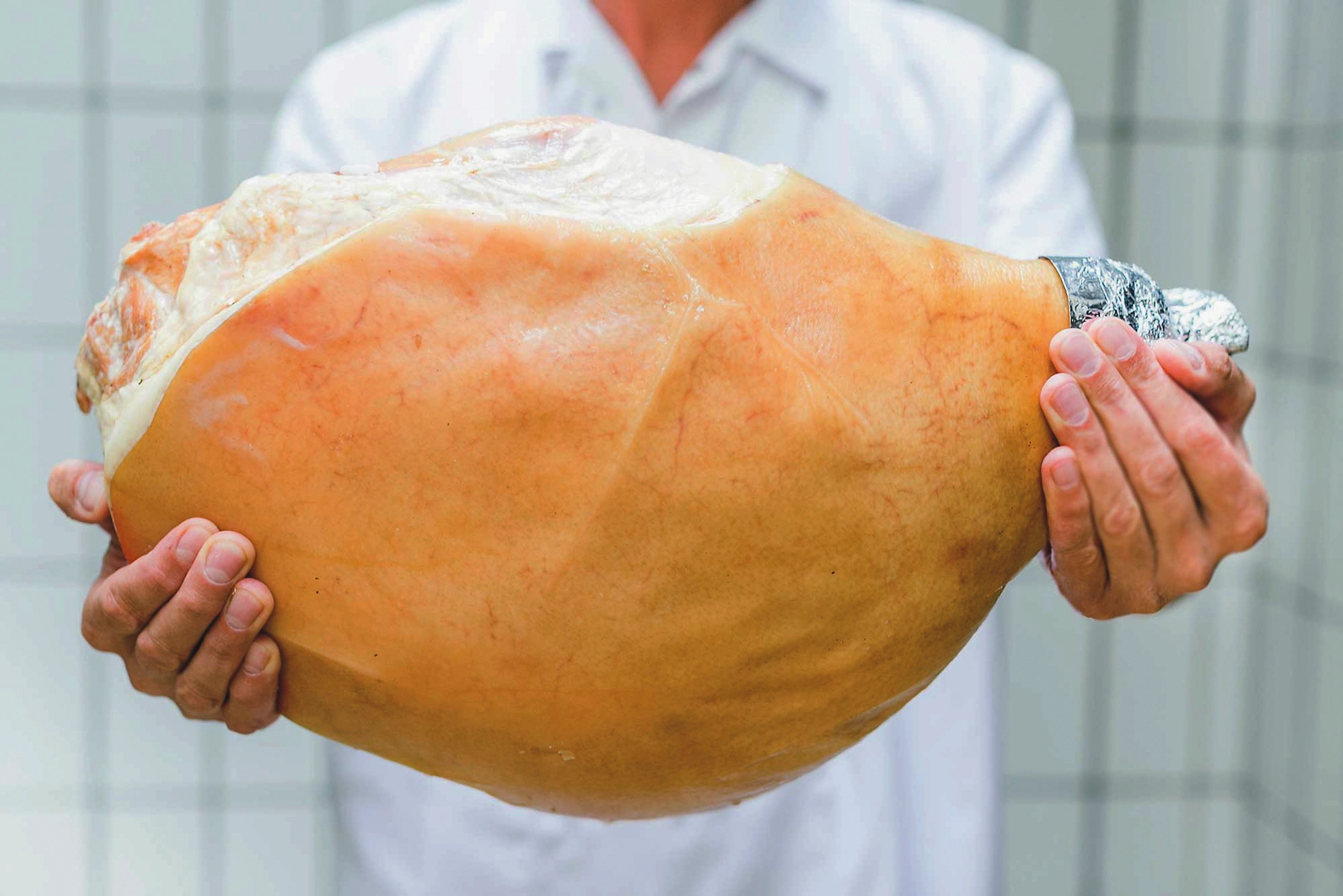 9 Top-Adressen für seltene Rassen