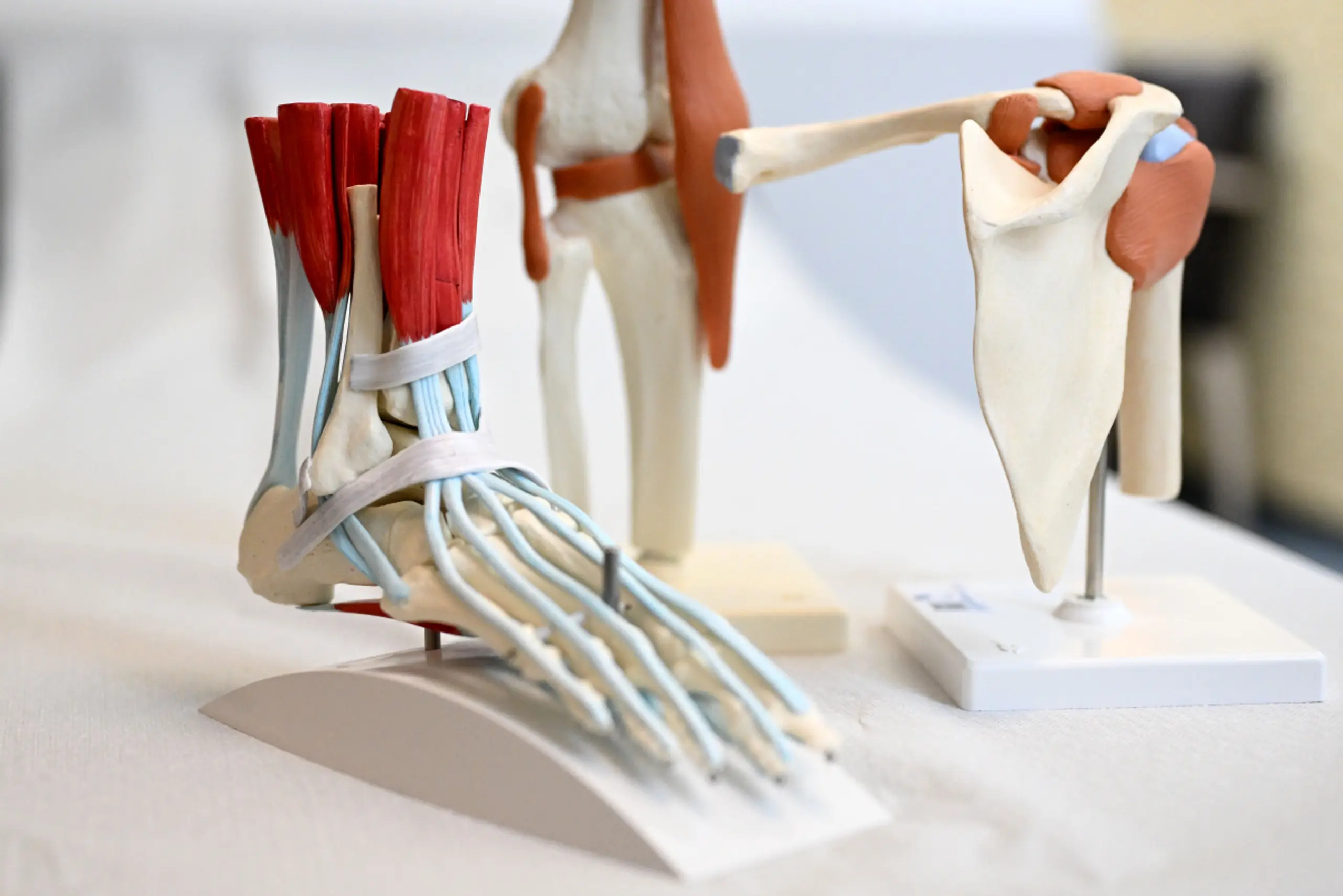 MS ist eine chronisch neurologische Erkrankung