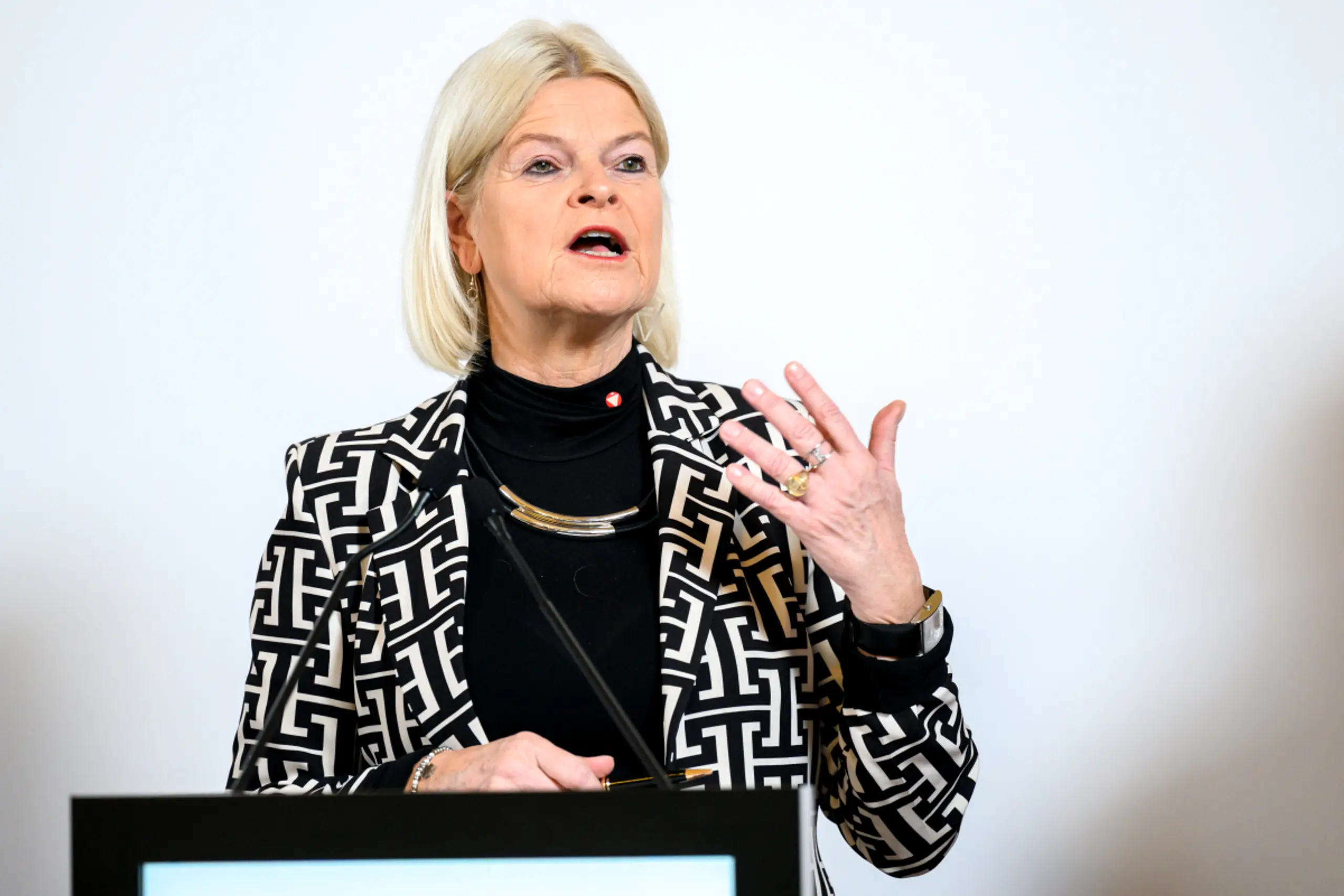 Tanner bei Präsentation von umfassender Gefahrenanalyse