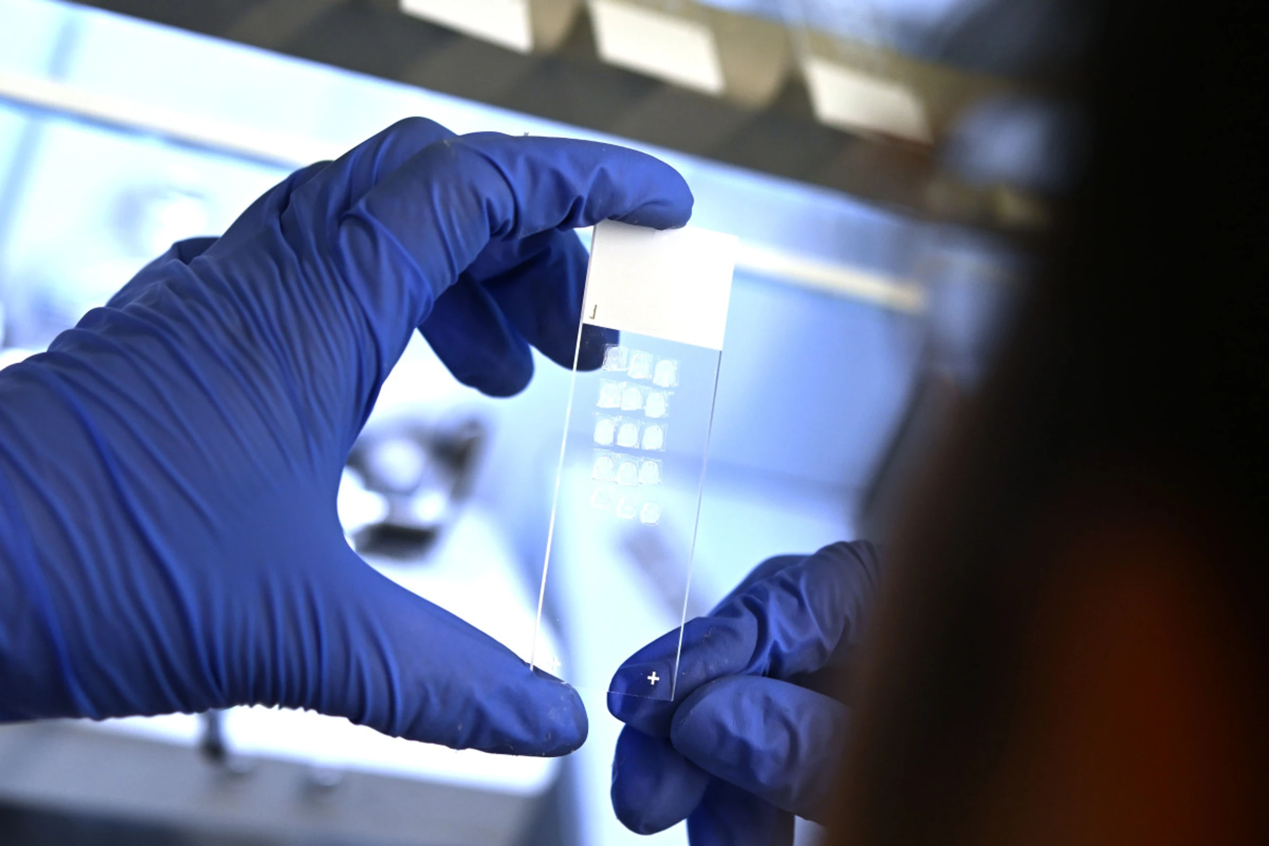 Große Teile der FTI-Szene kennen "ihre" Budget-Eckdaten noch immer nicht