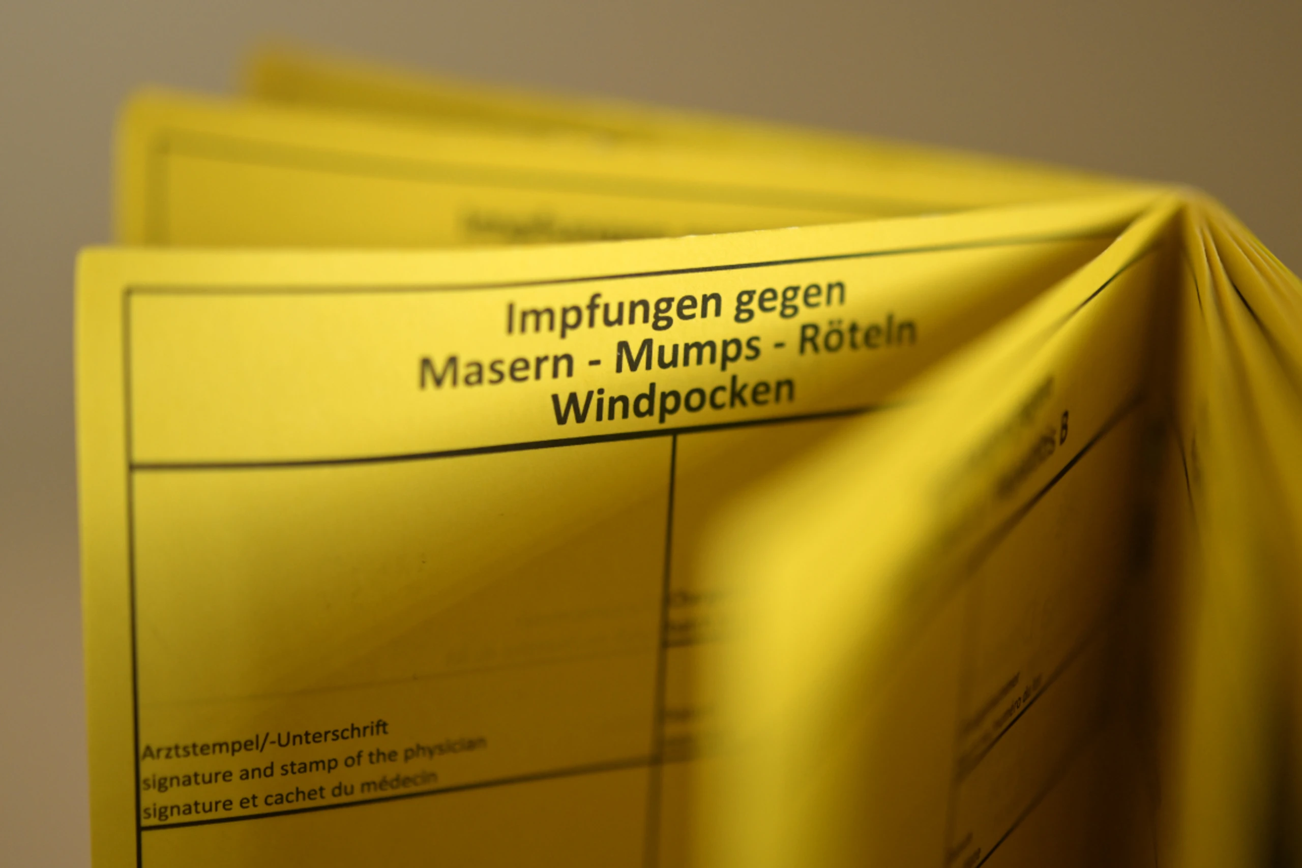 2024 starke Verbreitung hierzulande mit 524 Fällen