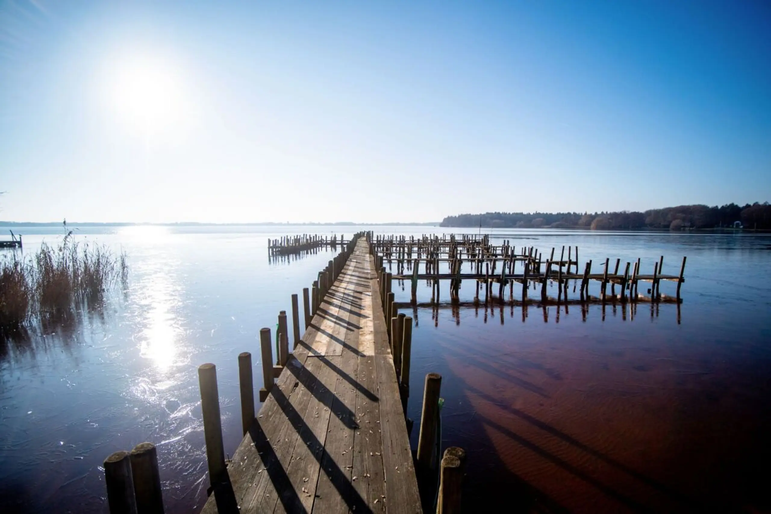 Endbericht soll im Herbst kemmen