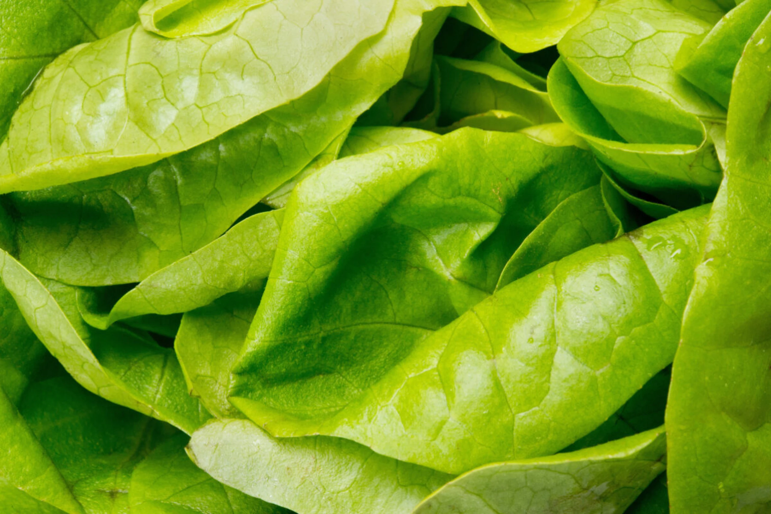 Es kommt auf die Zubereitung von Salat an