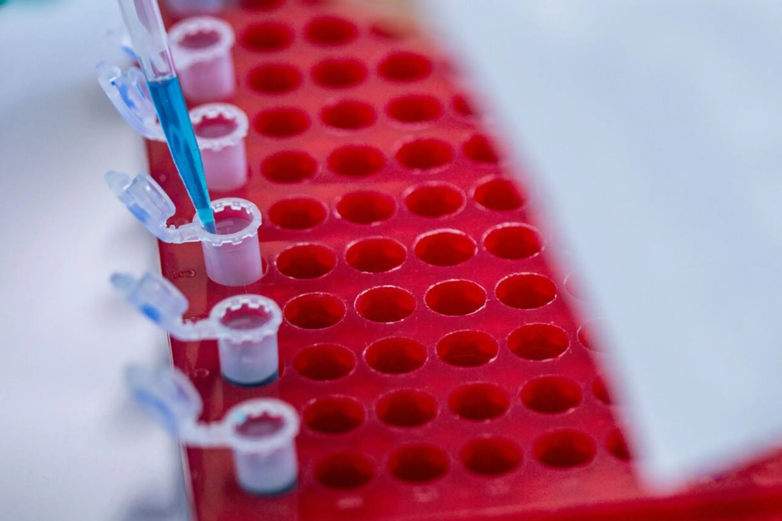 ++ ARCHIVBILD ++ Neue Chefin für das ScienceCenter