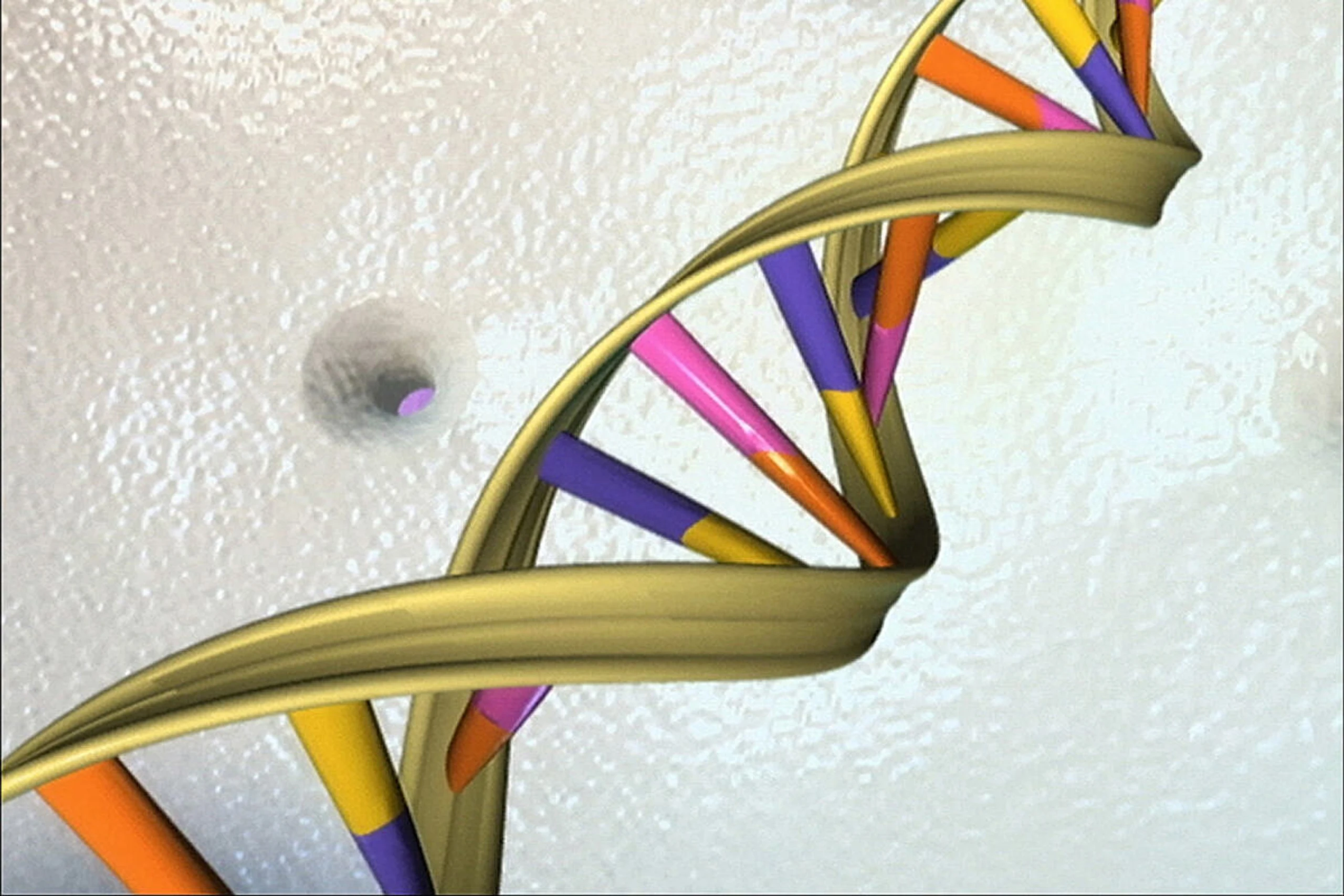 Beitrag zur menschlichen Lebensspanne beträgt rund 55 Prozent