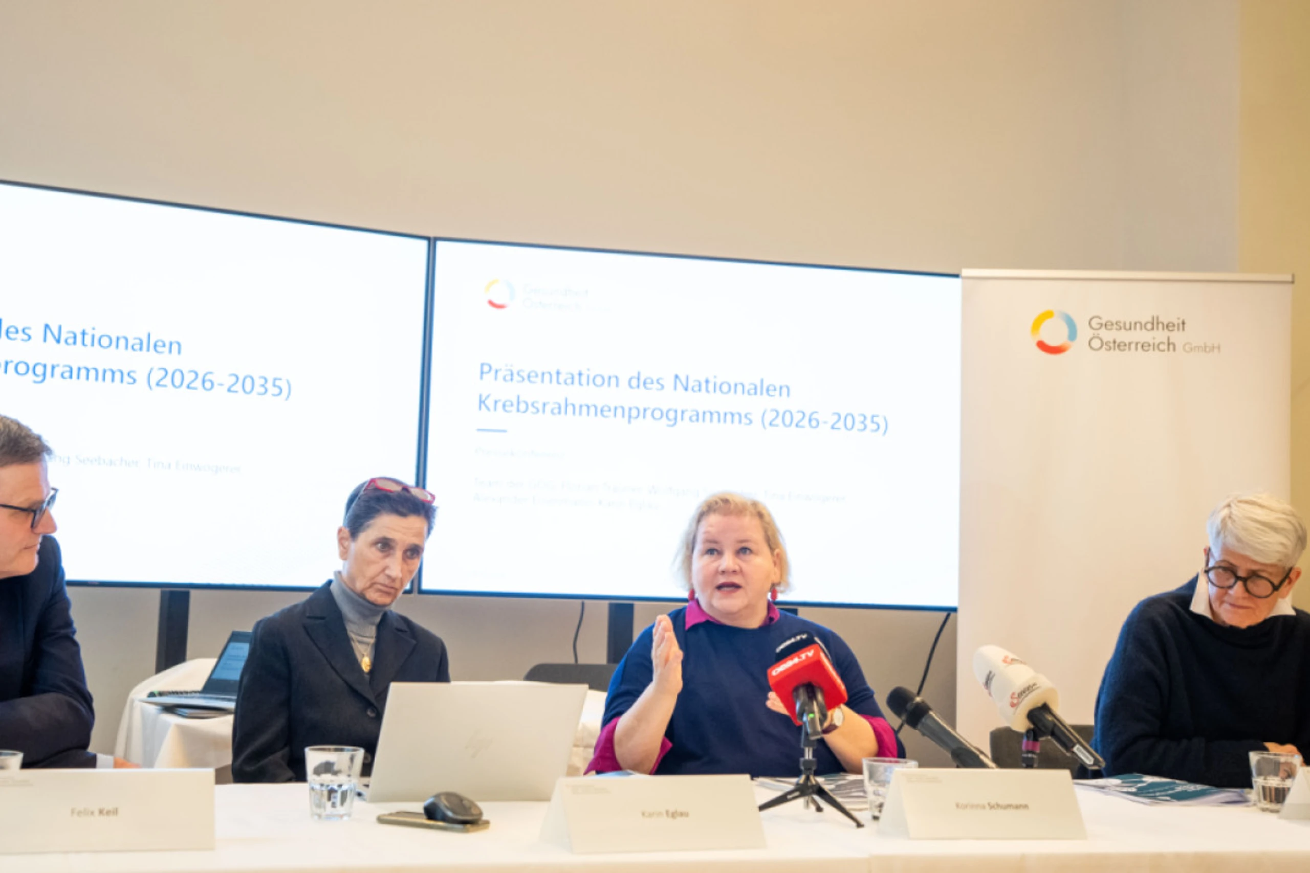 Ministerin Schumann stellte Krebsrahmenprogramm vor