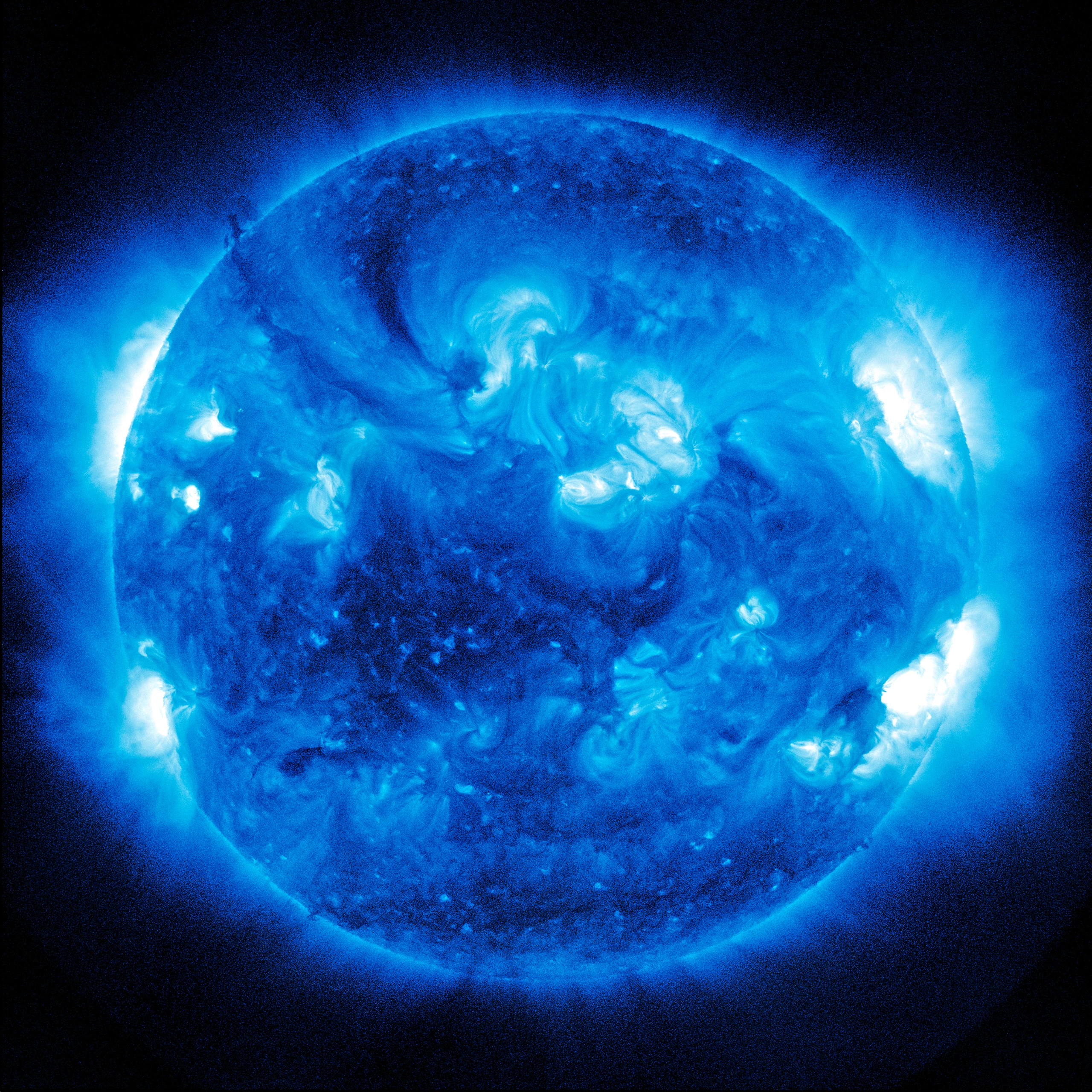Die Welt ohne Menschen: Gedankenexperiment im Linzer Lentos