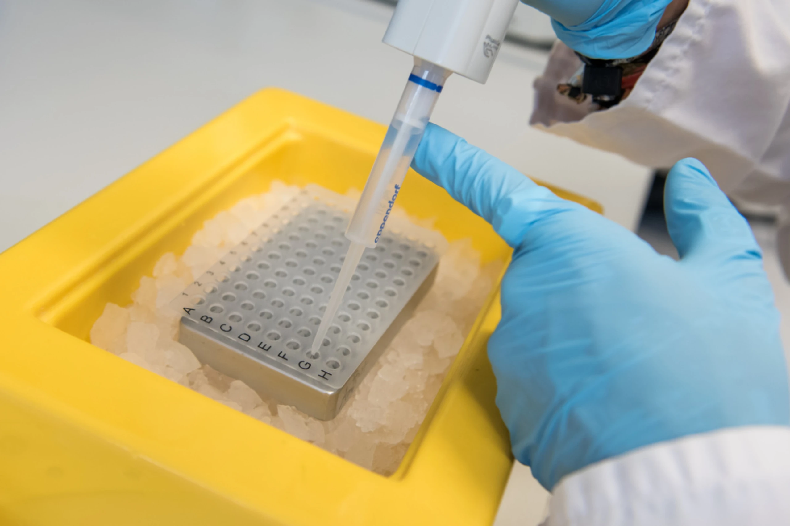 Ergebnisse werden verfälscht und sogar erfunden