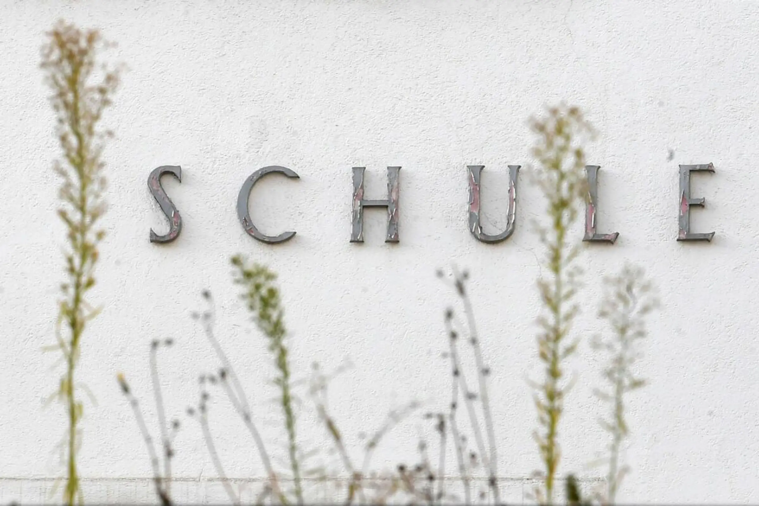 Neue Fächer auch für Handelsschulen und Handelsakademien