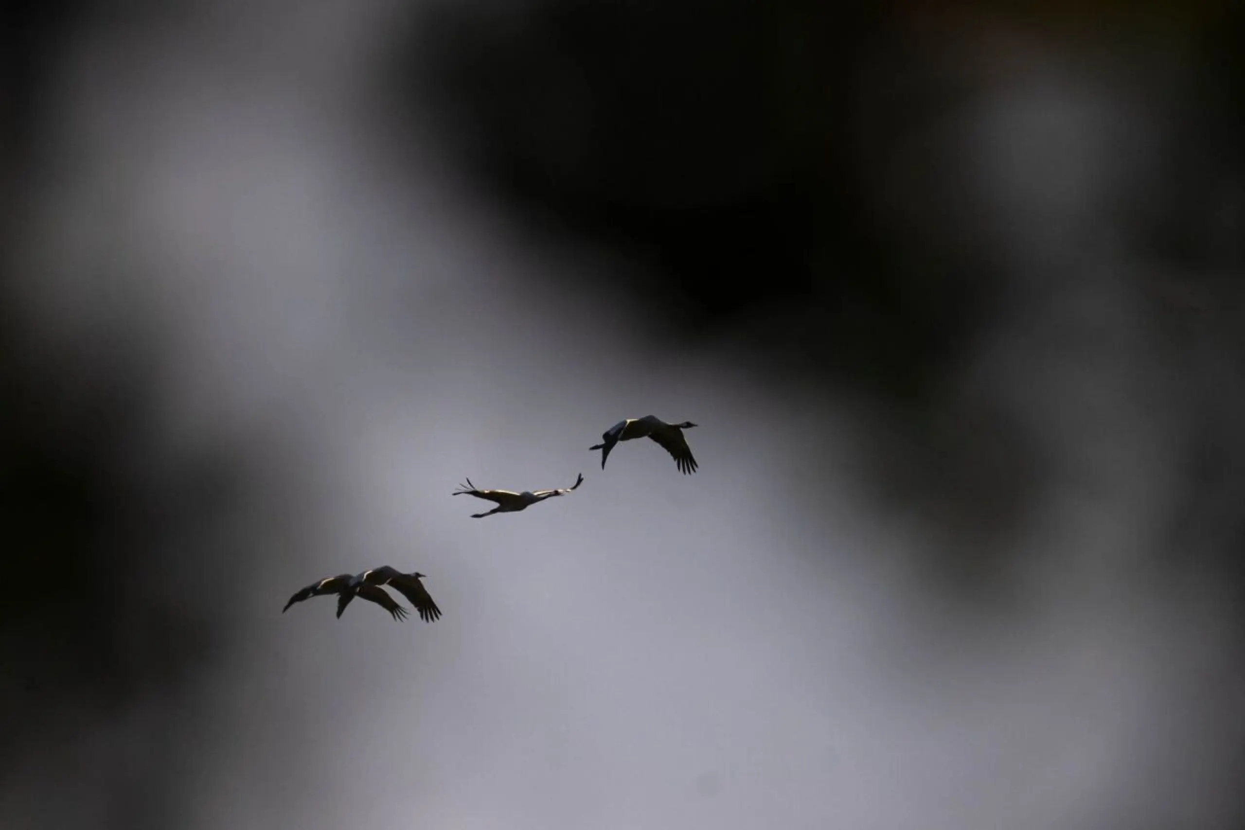 Menschen die 2009 geimpft wurden haben höhere kreuzaktive Antikörper