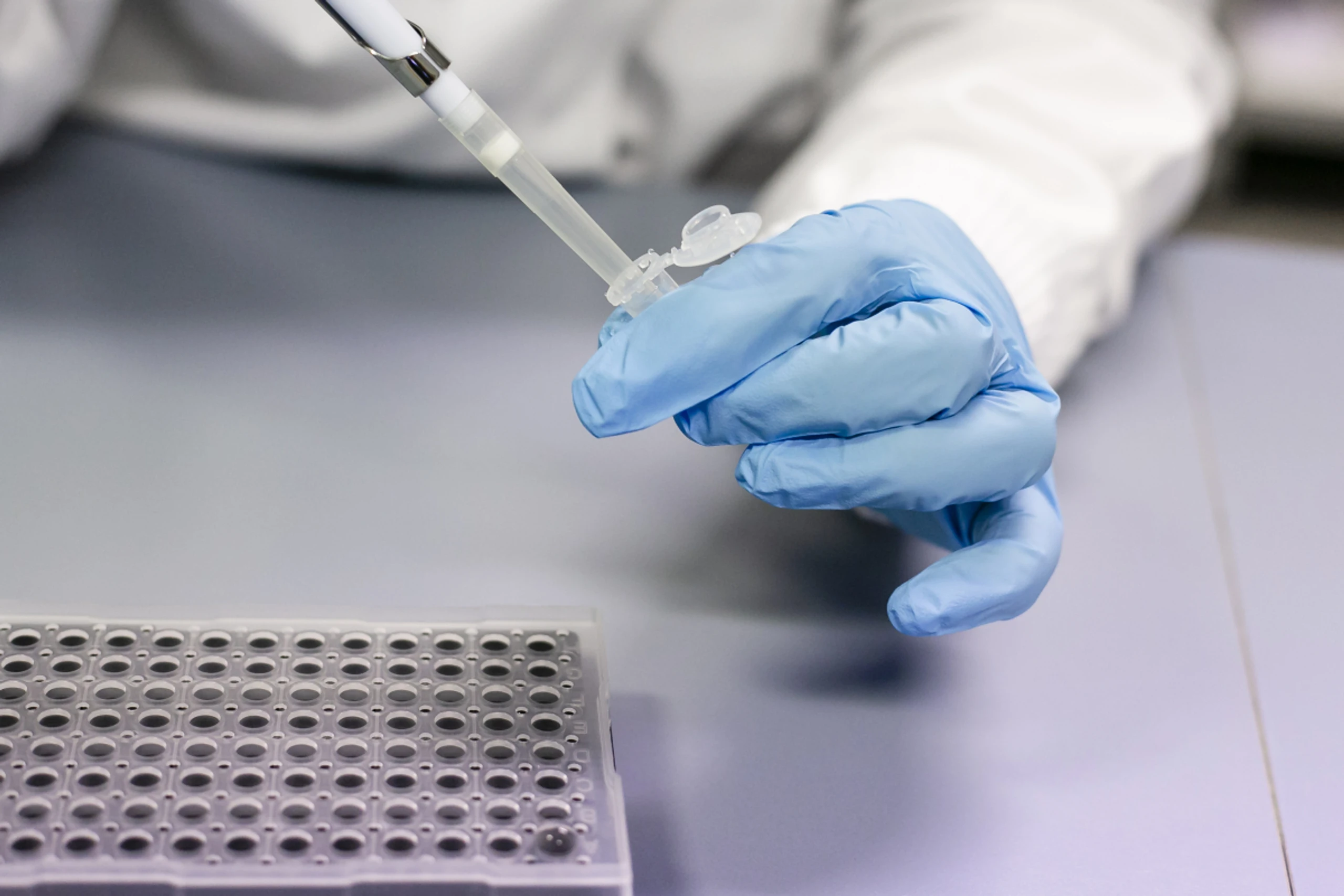 Alte DNA gibt heute ungeahnte Einblicke in die Ur- und Frühgeschichte